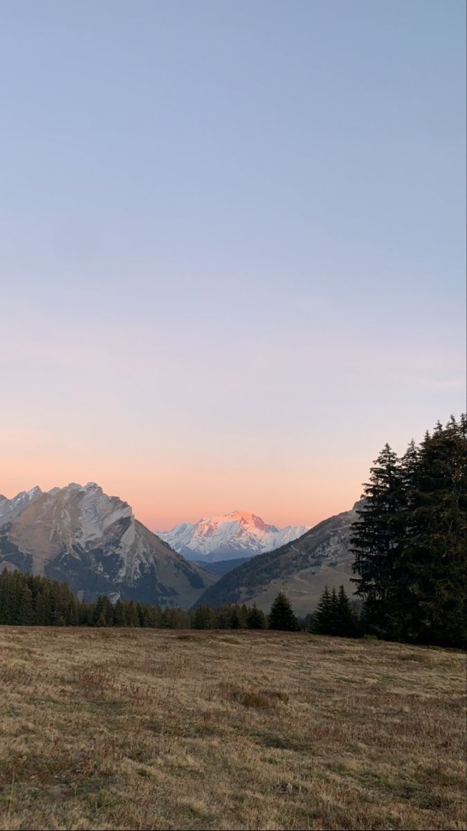 Image 17229 — Nature