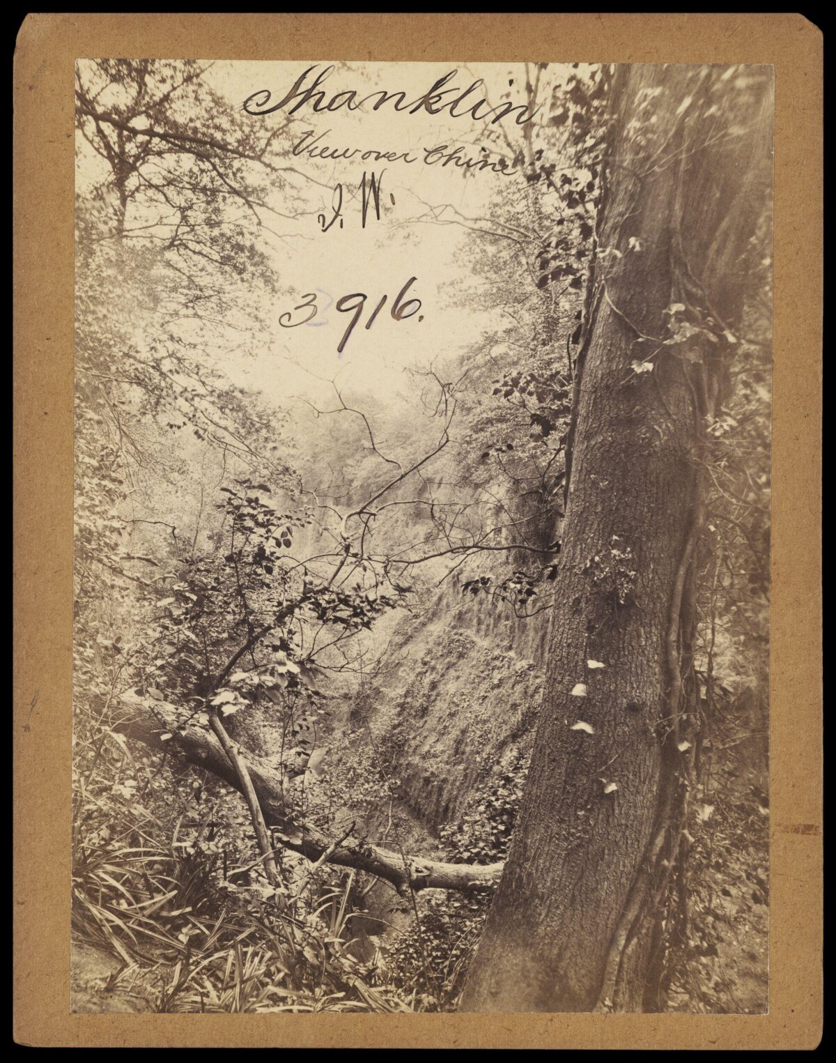 Vintage View of Shanklin Chine