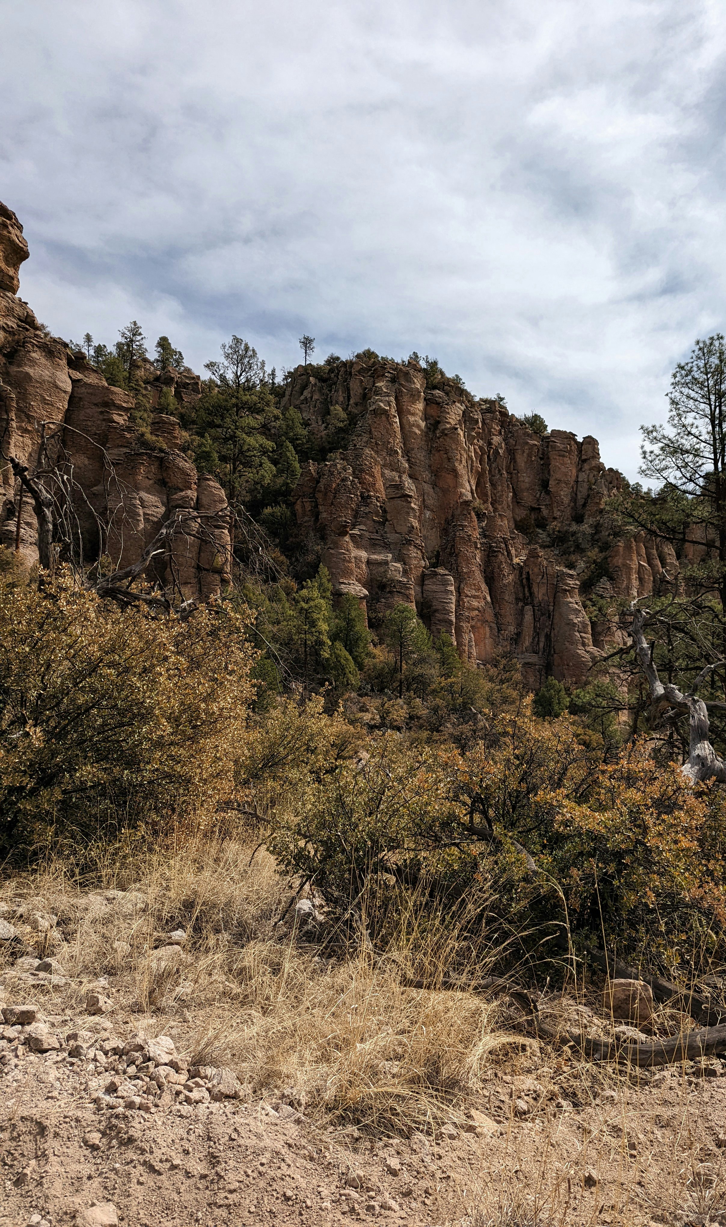 Image 1617185 — Backgrounds