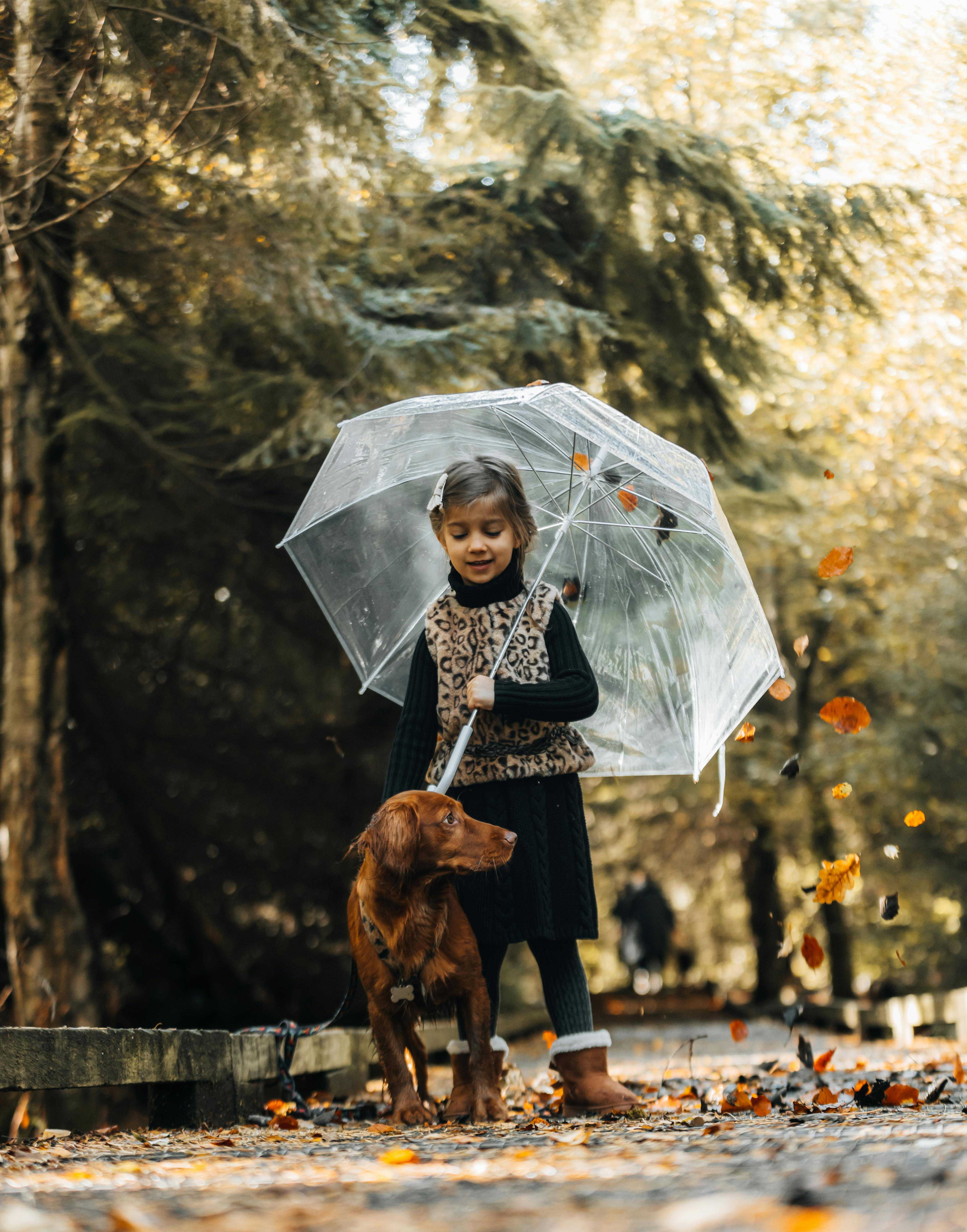 Girl and Dog in Autumn Forest