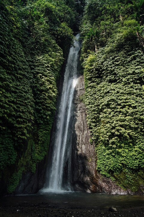Hidden Waterfall in Dense Forest