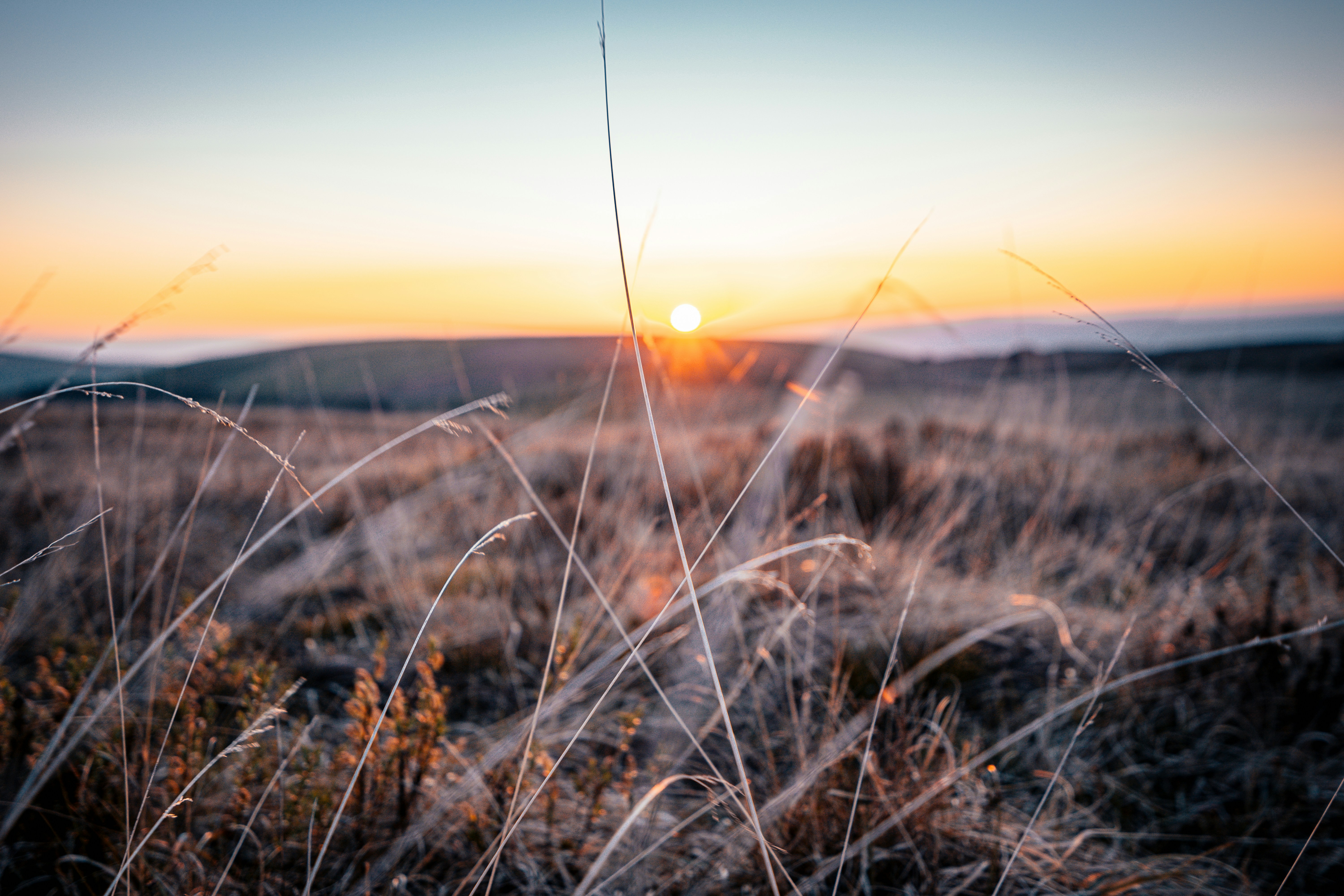 Sunset Over Dry Grassland