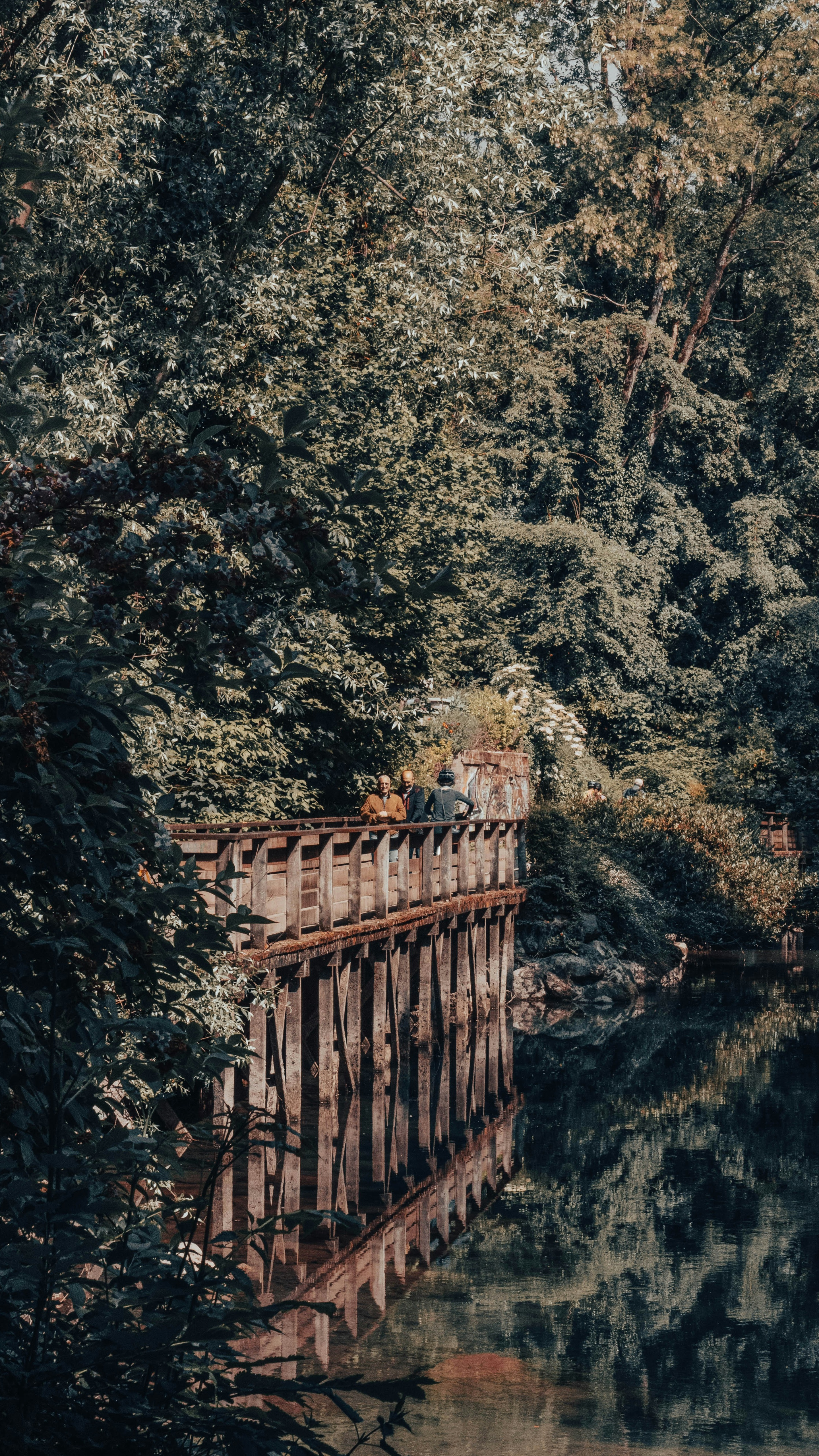 Wallpapers