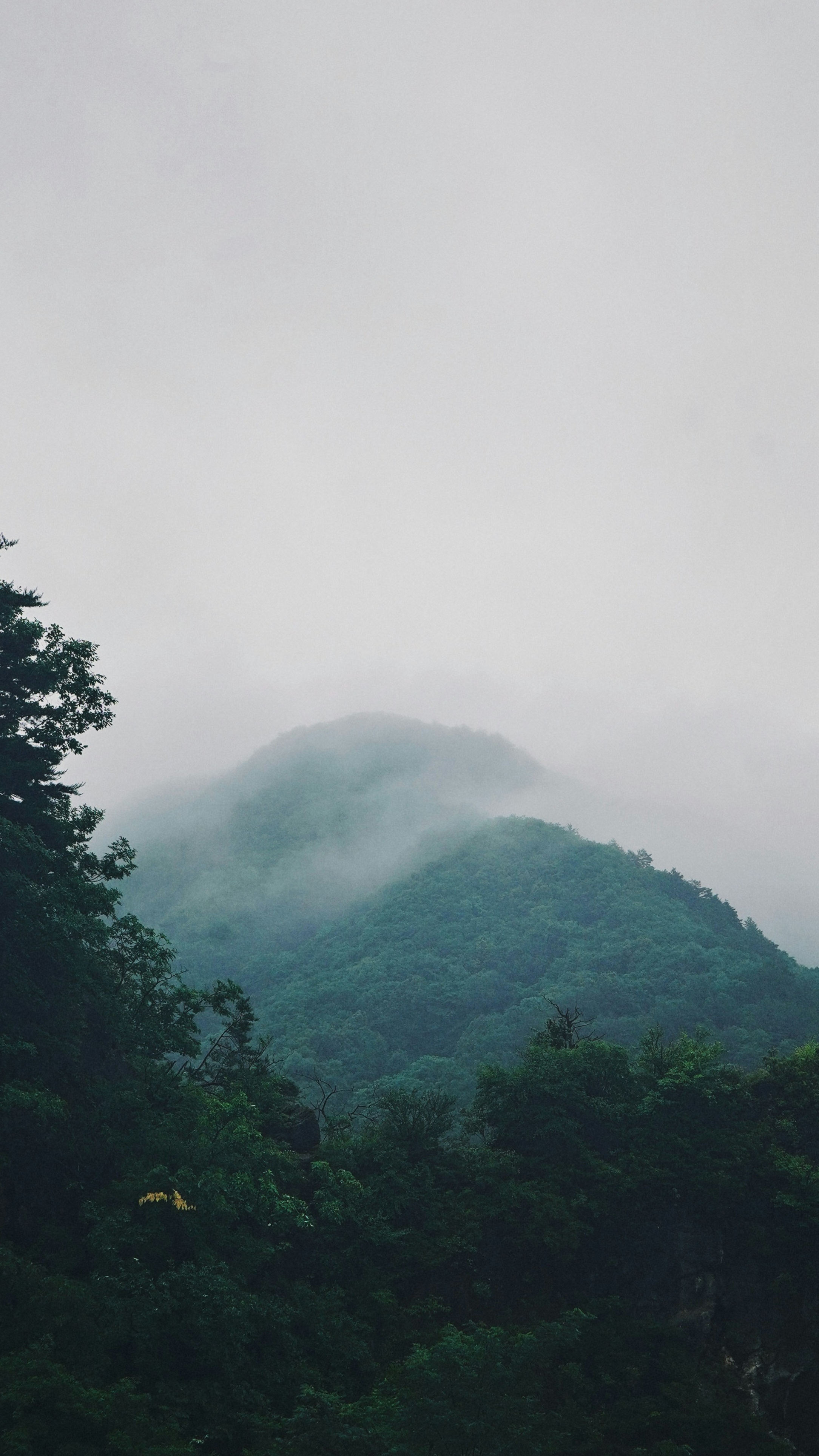Landscapes