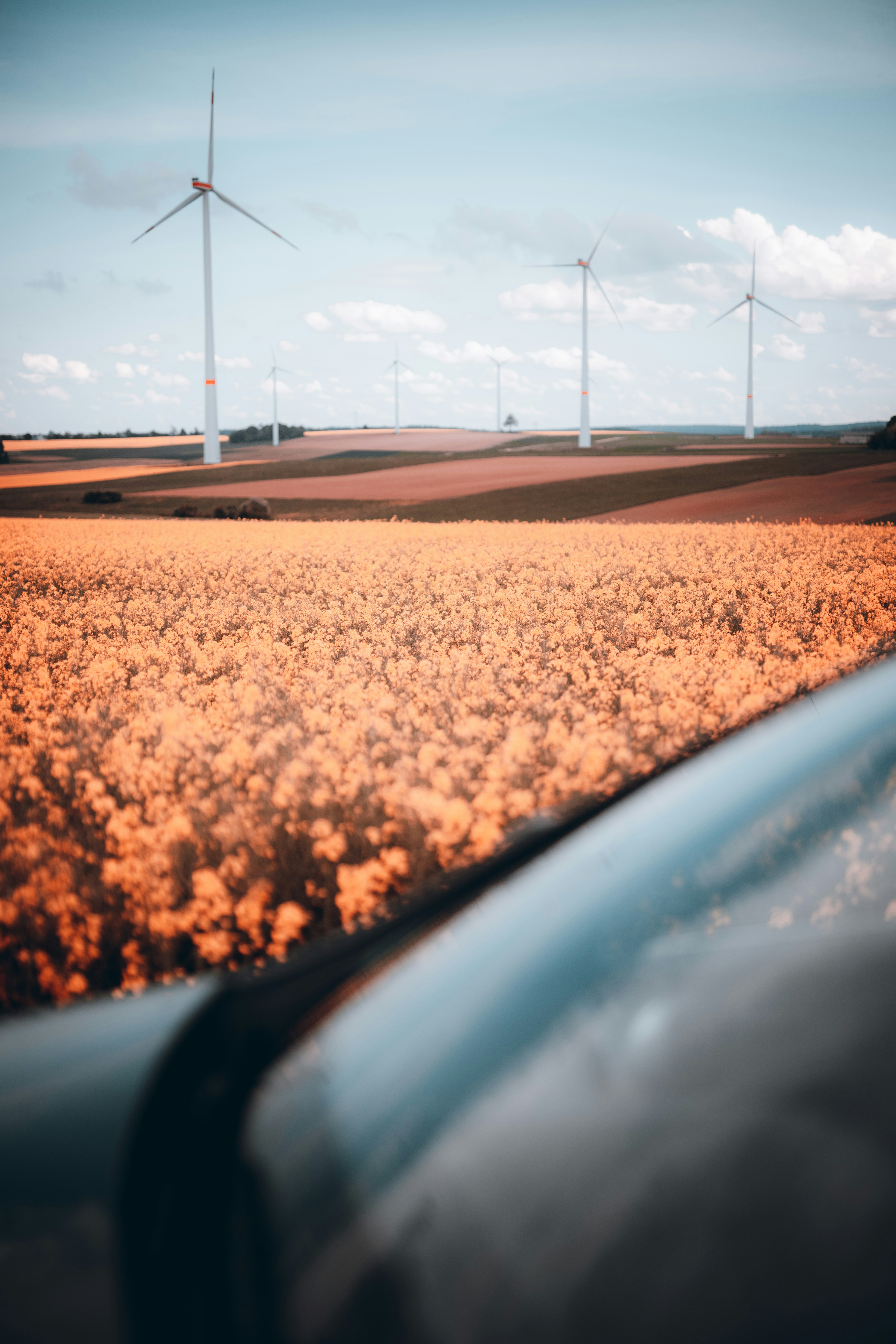 Wind Turbine Field View From Car