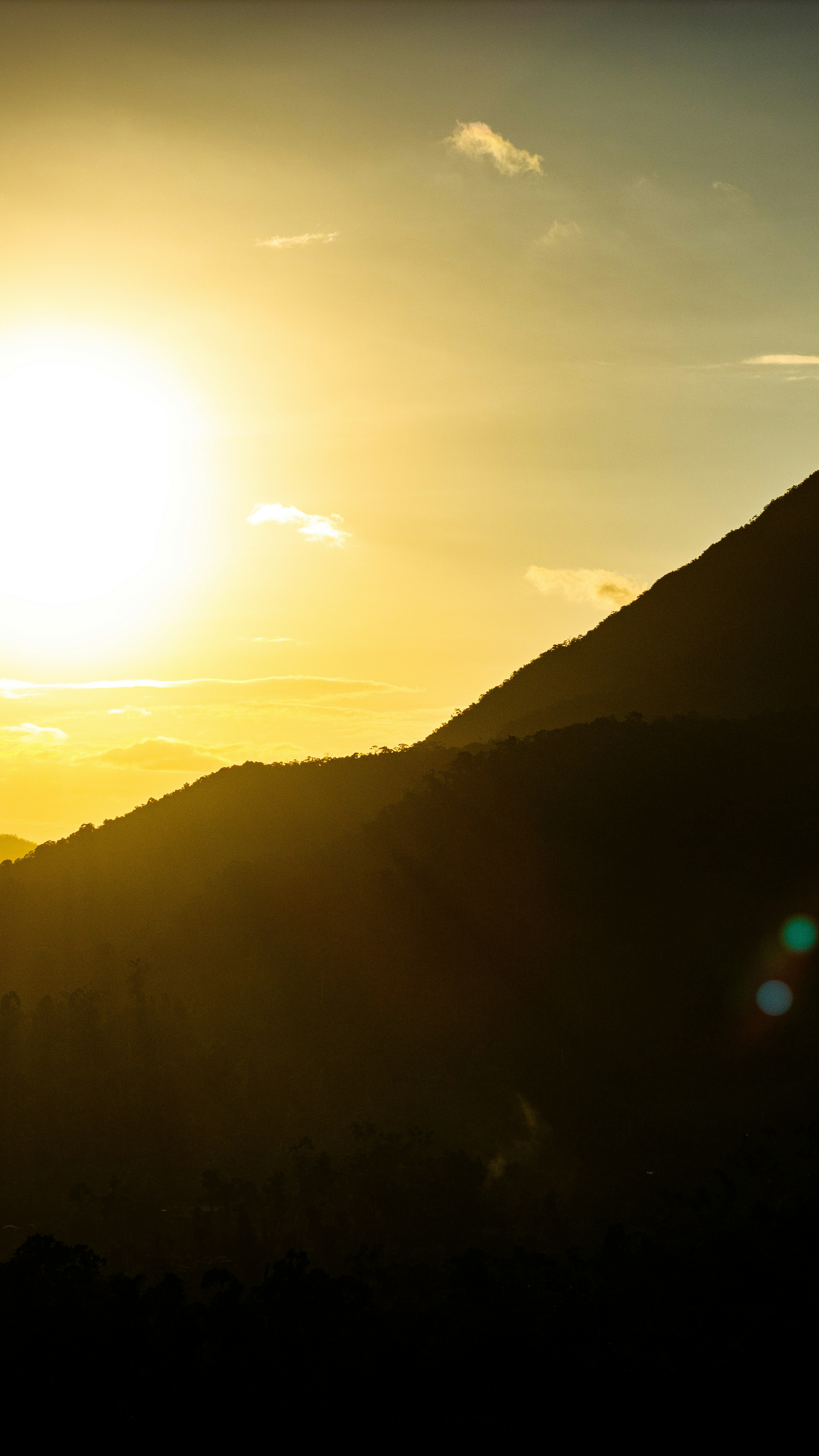 Landscapes