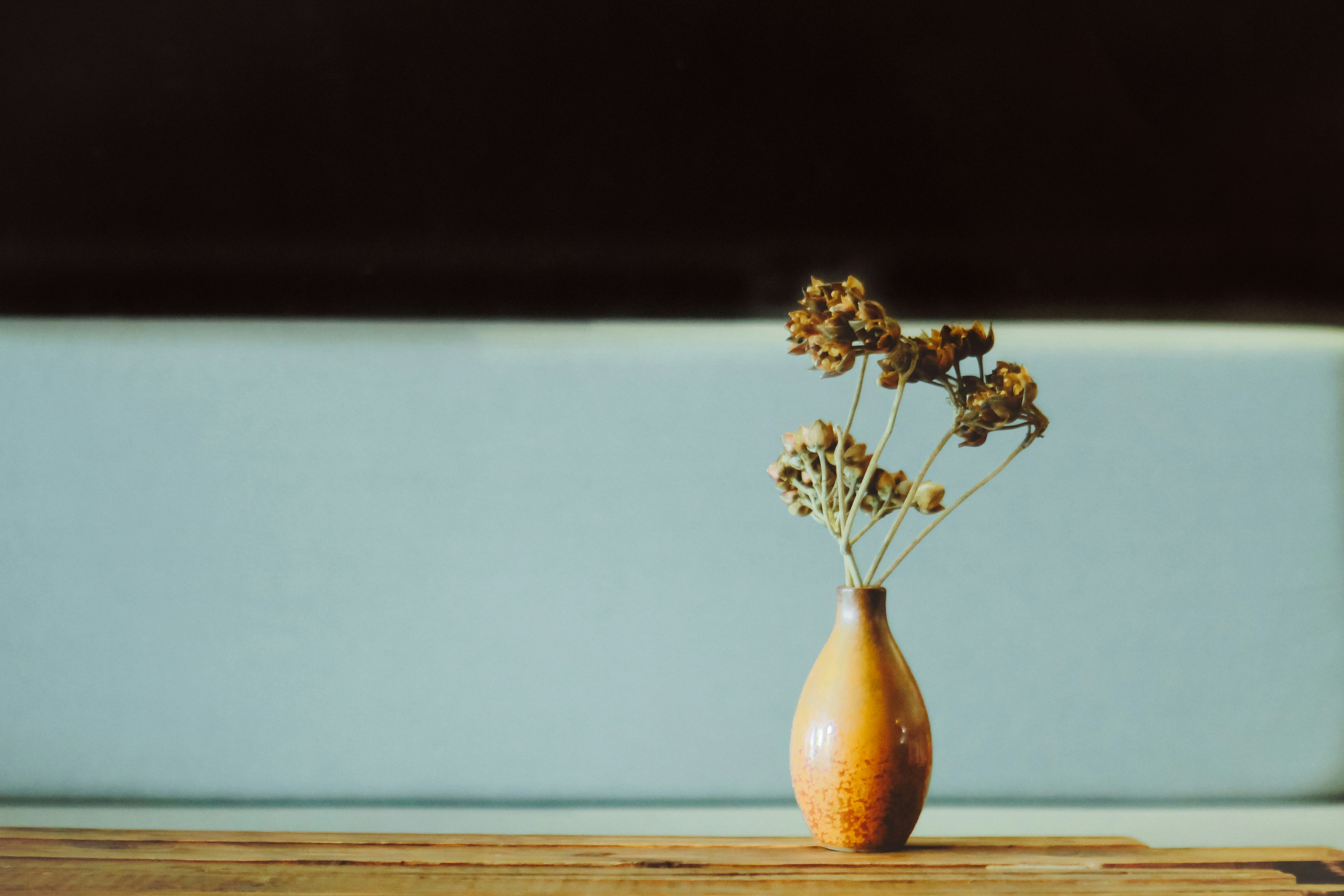 Dried Flowers In Small Ceramic Vase