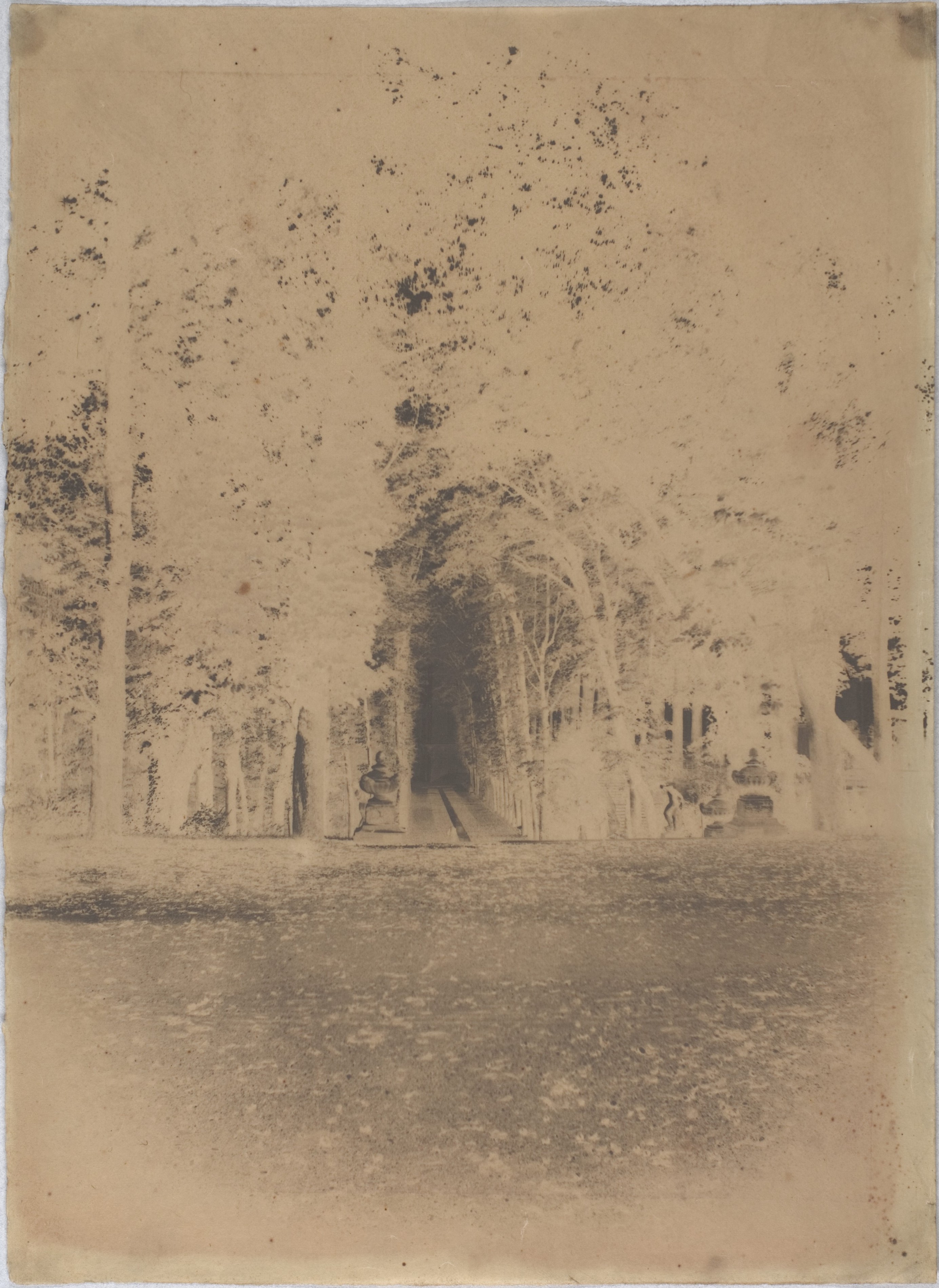 Vintage Tree-Lined Garden Avenue