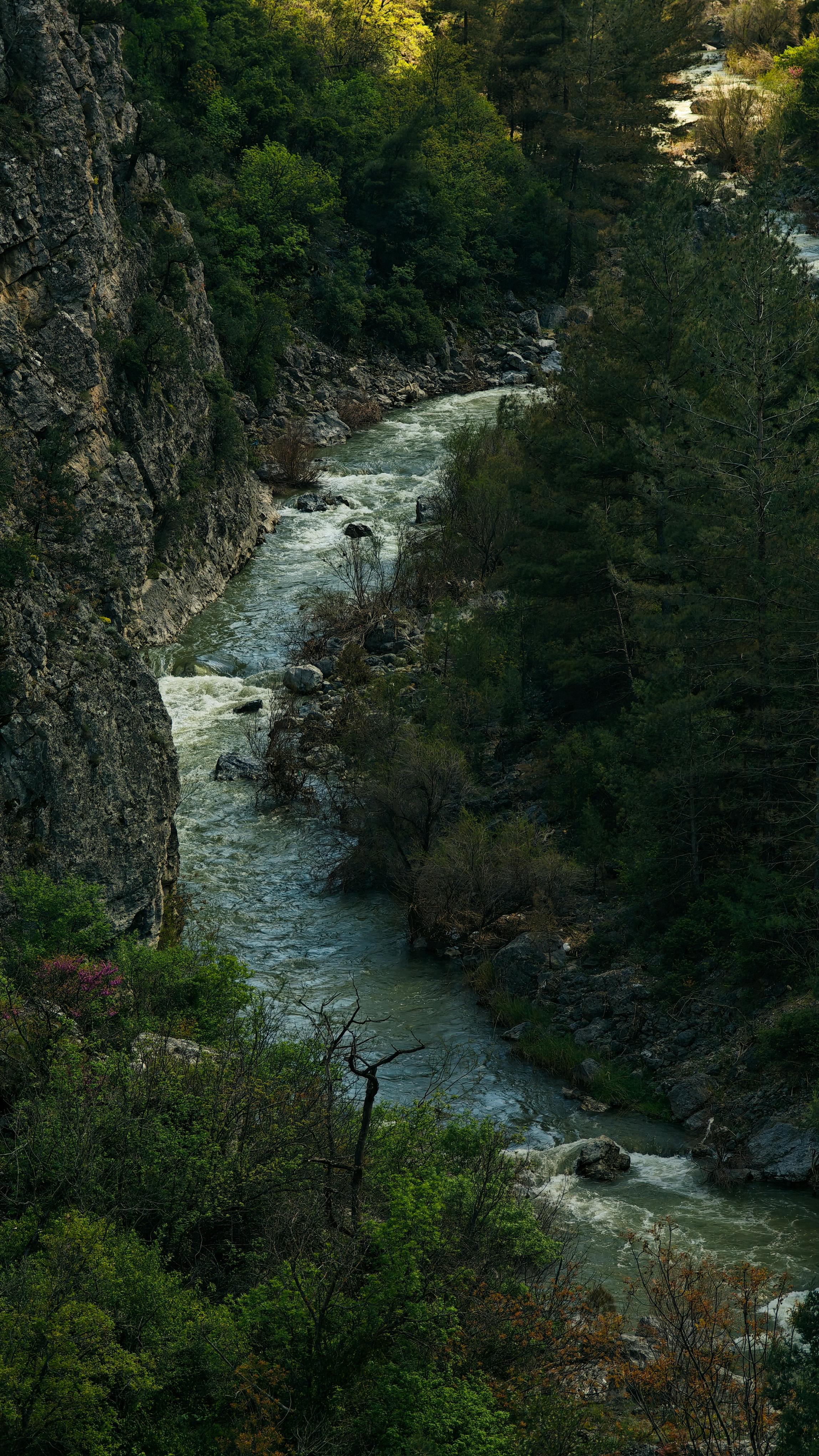 Image 1615057 — Art