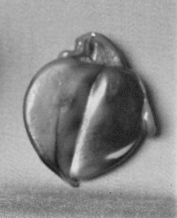 Glossy Glass Heart Pendant