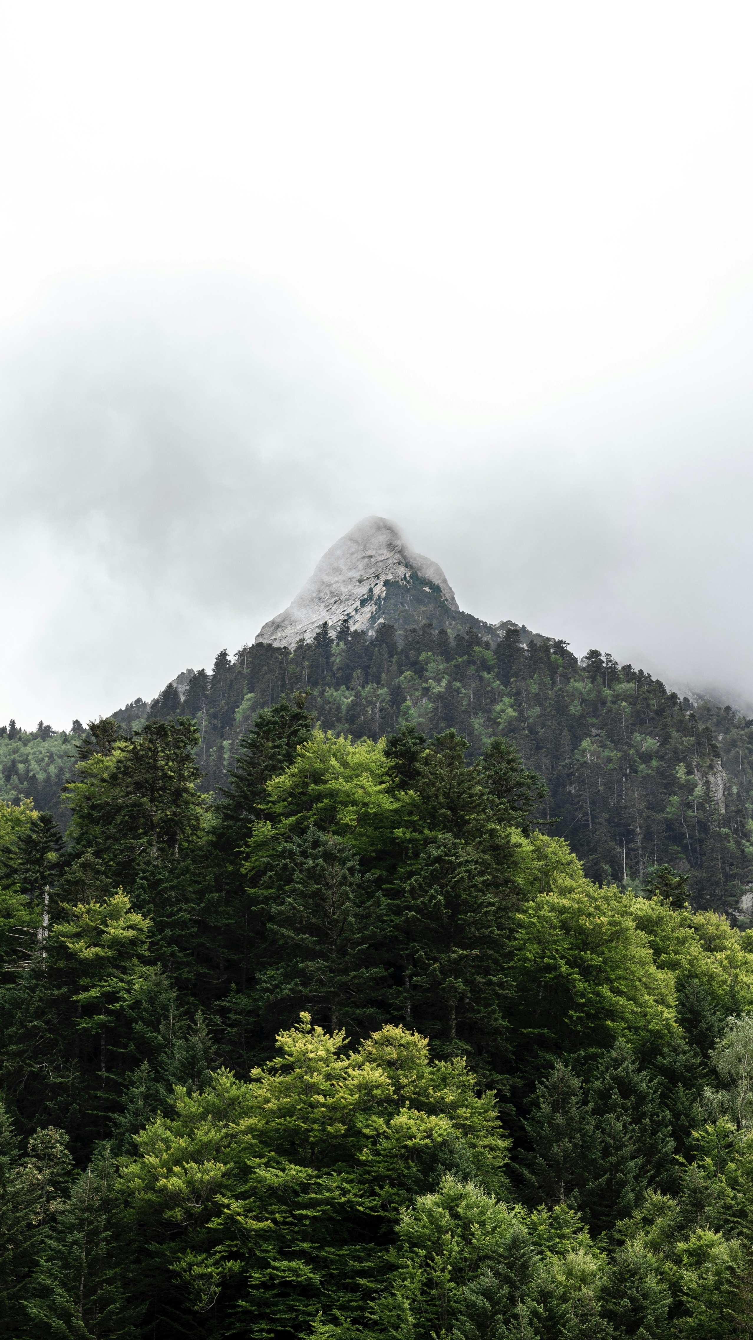 Landscapes