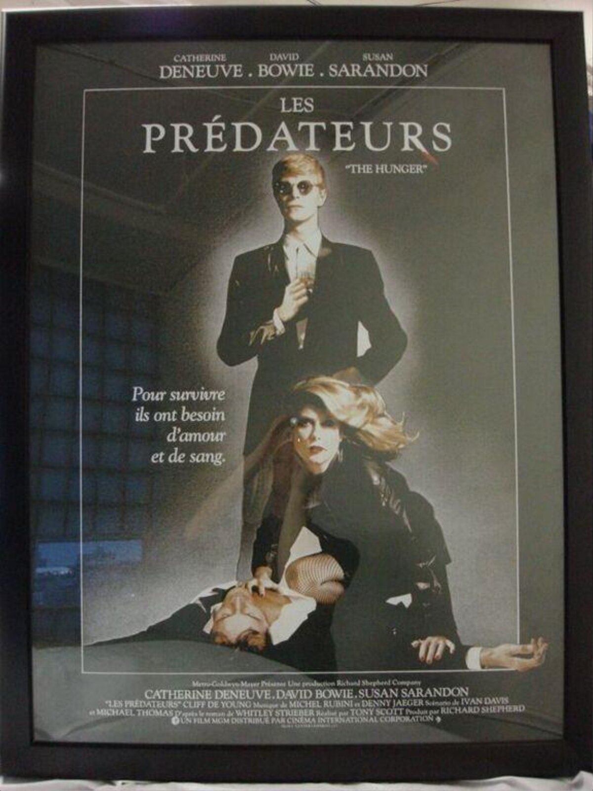 Les Prédateurs Movie Poster