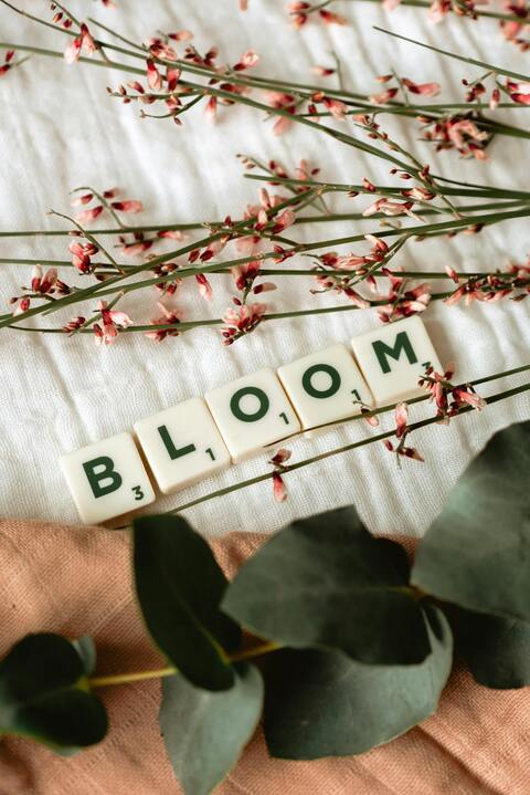 BLOOM Tiles with Dried Flowers