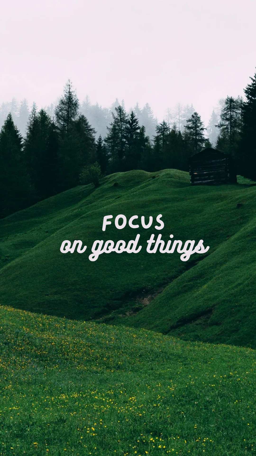 Wallpapers