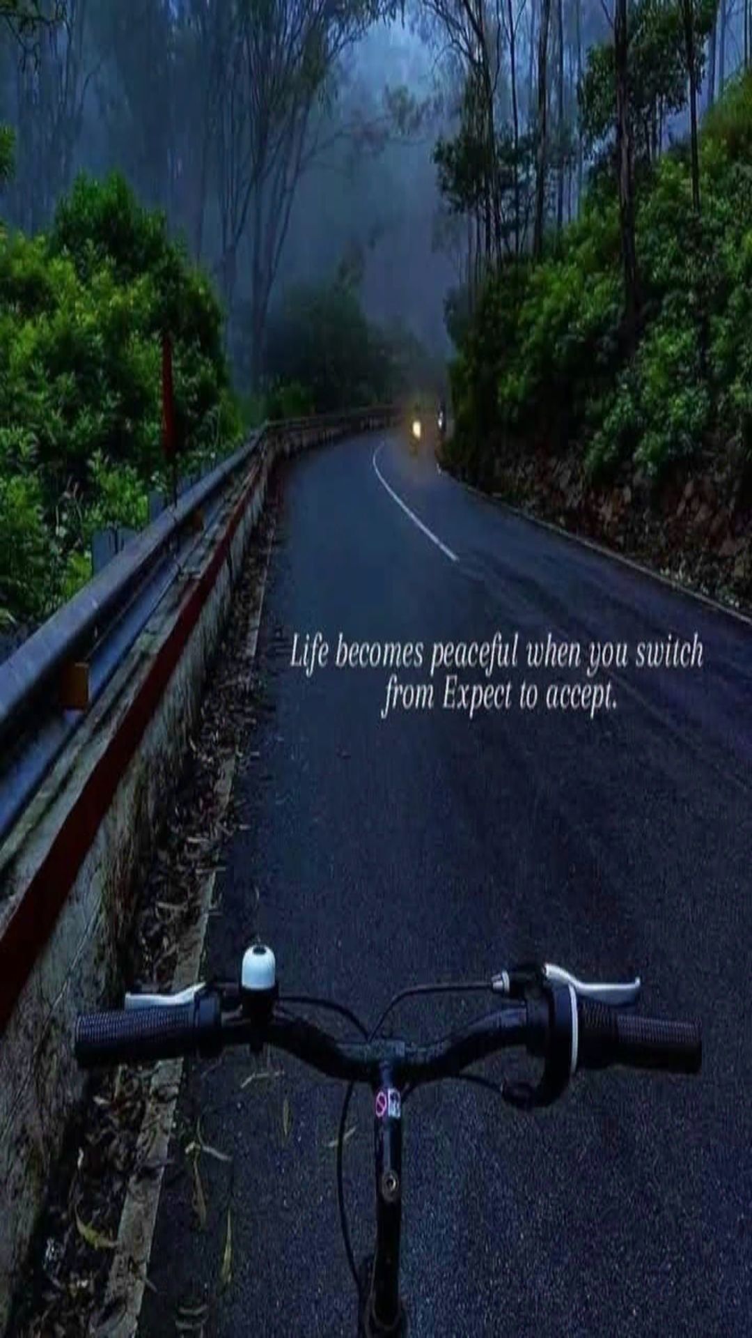Bicycle Ride on Misty Forest Road