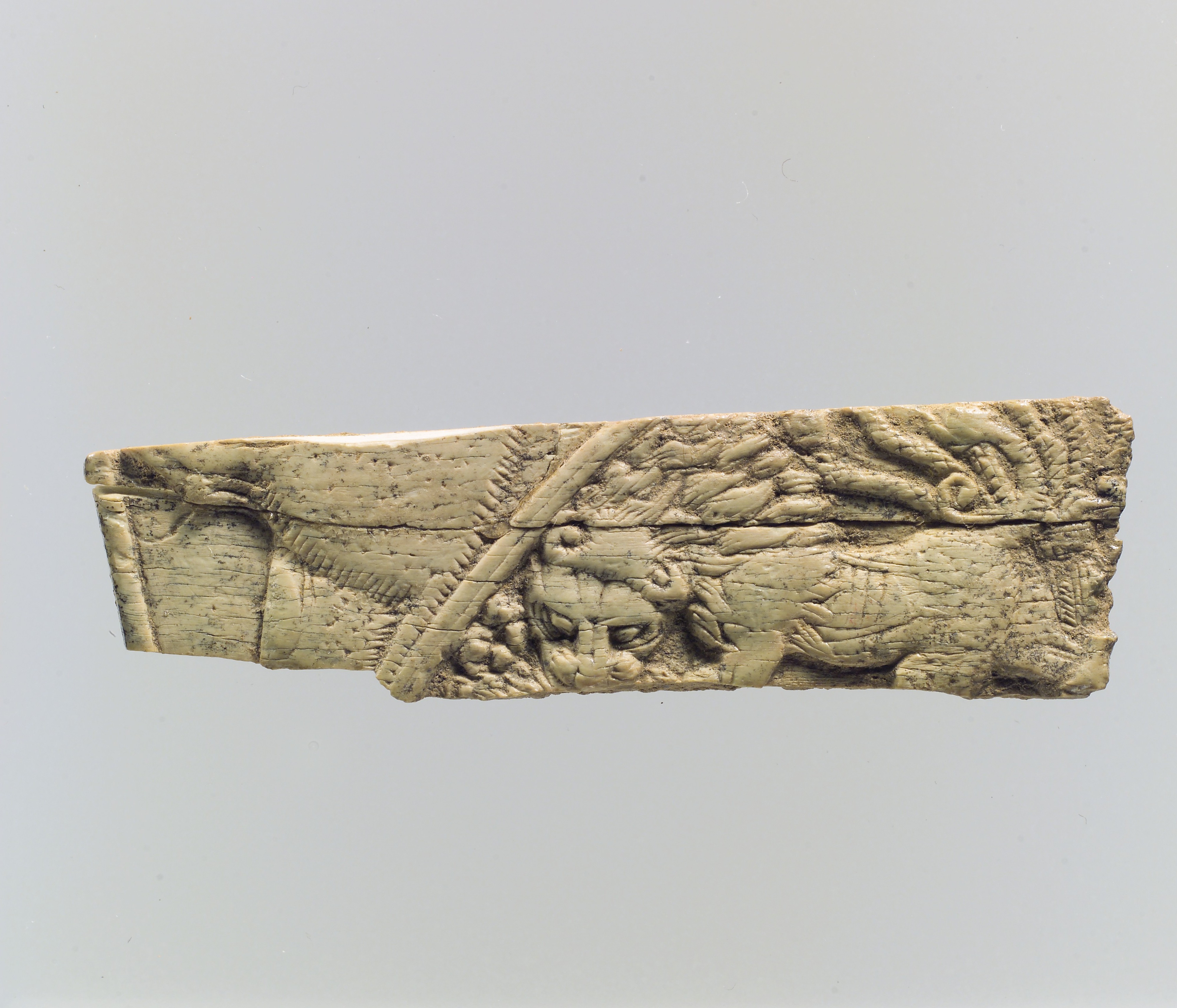 Ancient Carved Beast Ivory Fragment