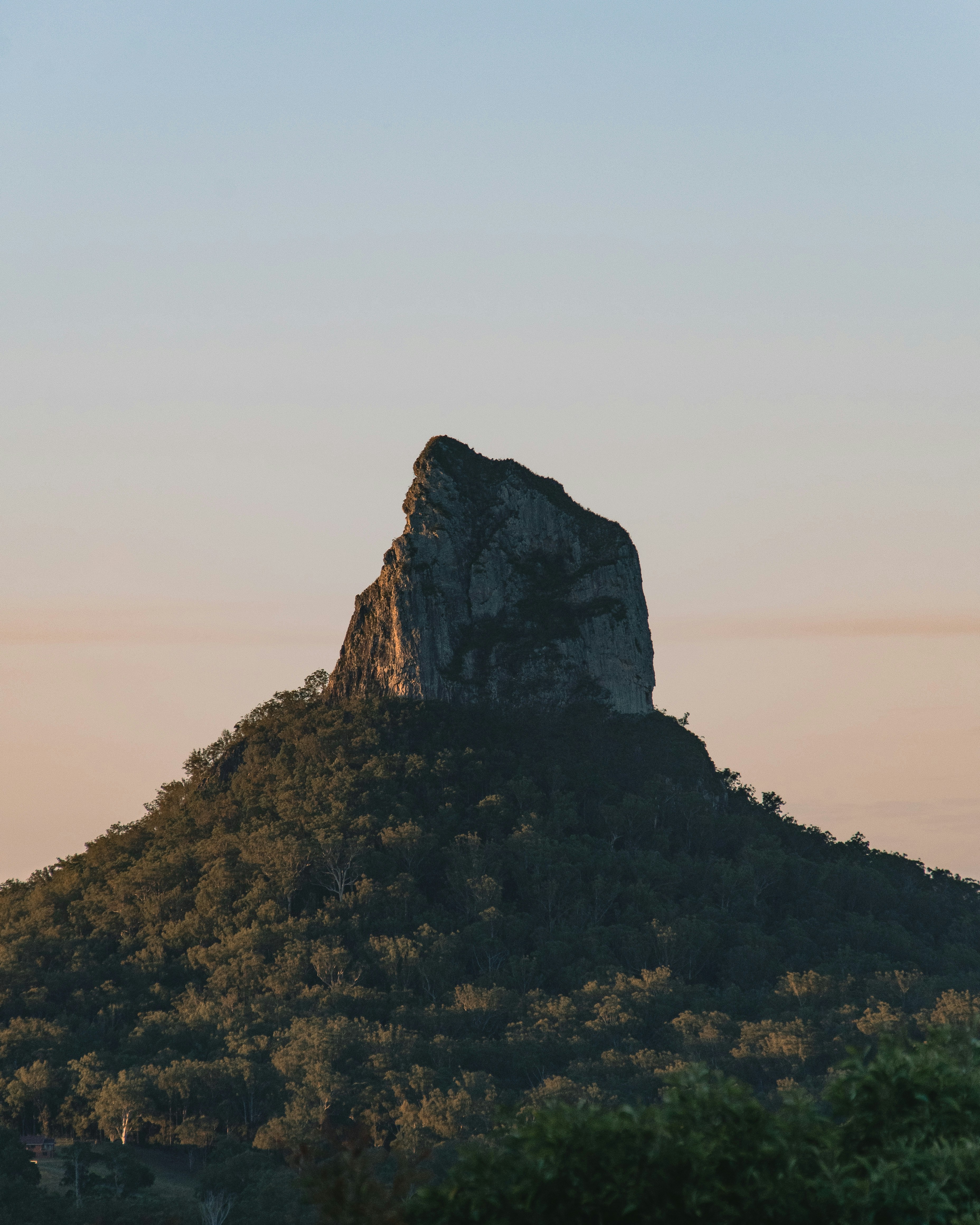 Forested Hill With Rocky Peak