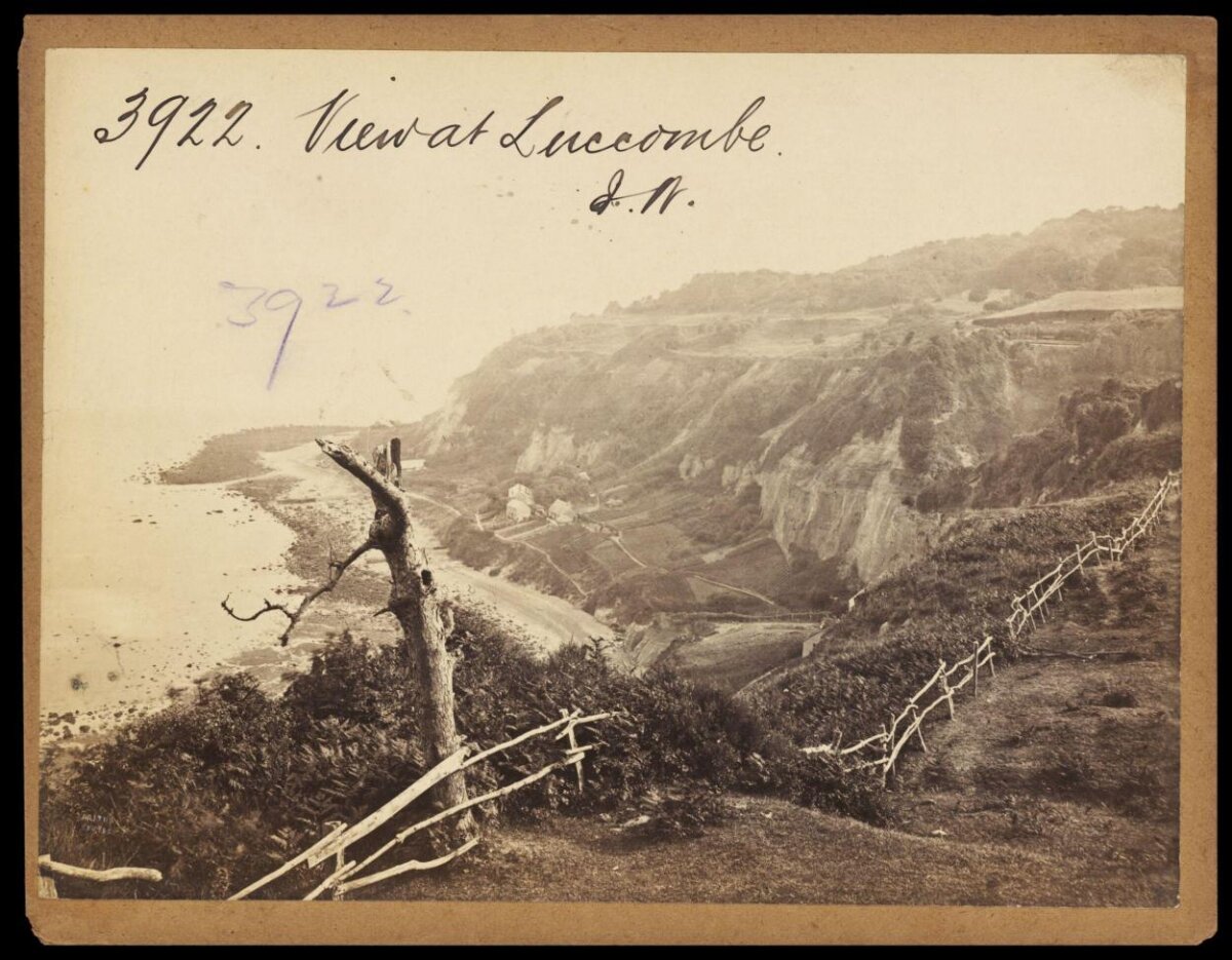 Luccombe Coastal Cliff View