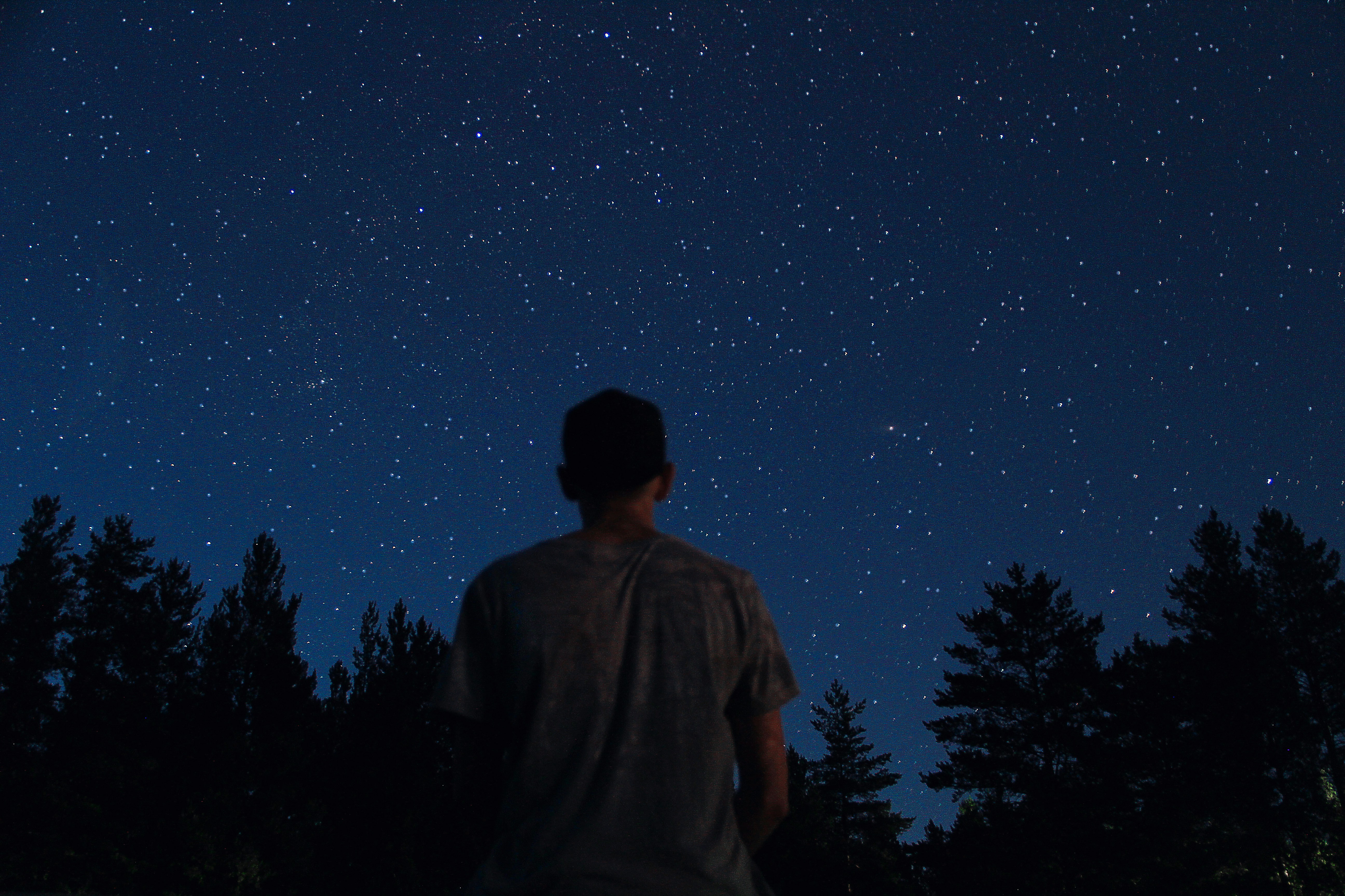 Man Watching Starry Sky Above Forest