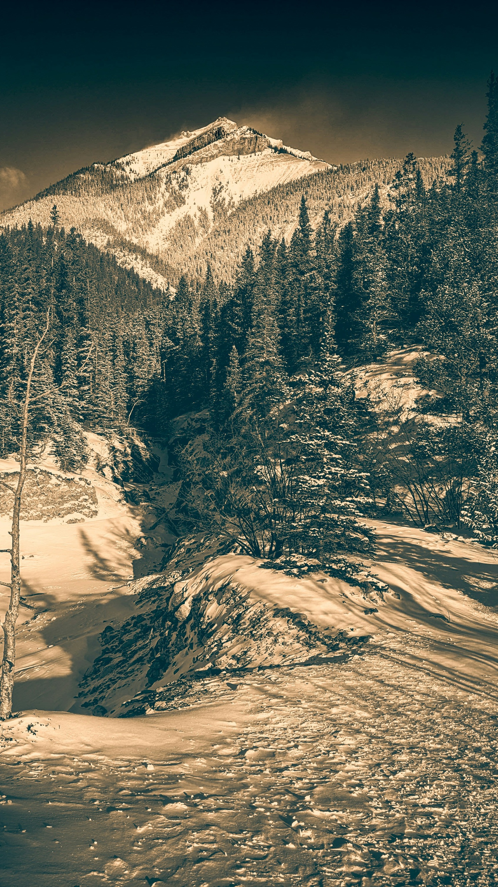 Wallpapers