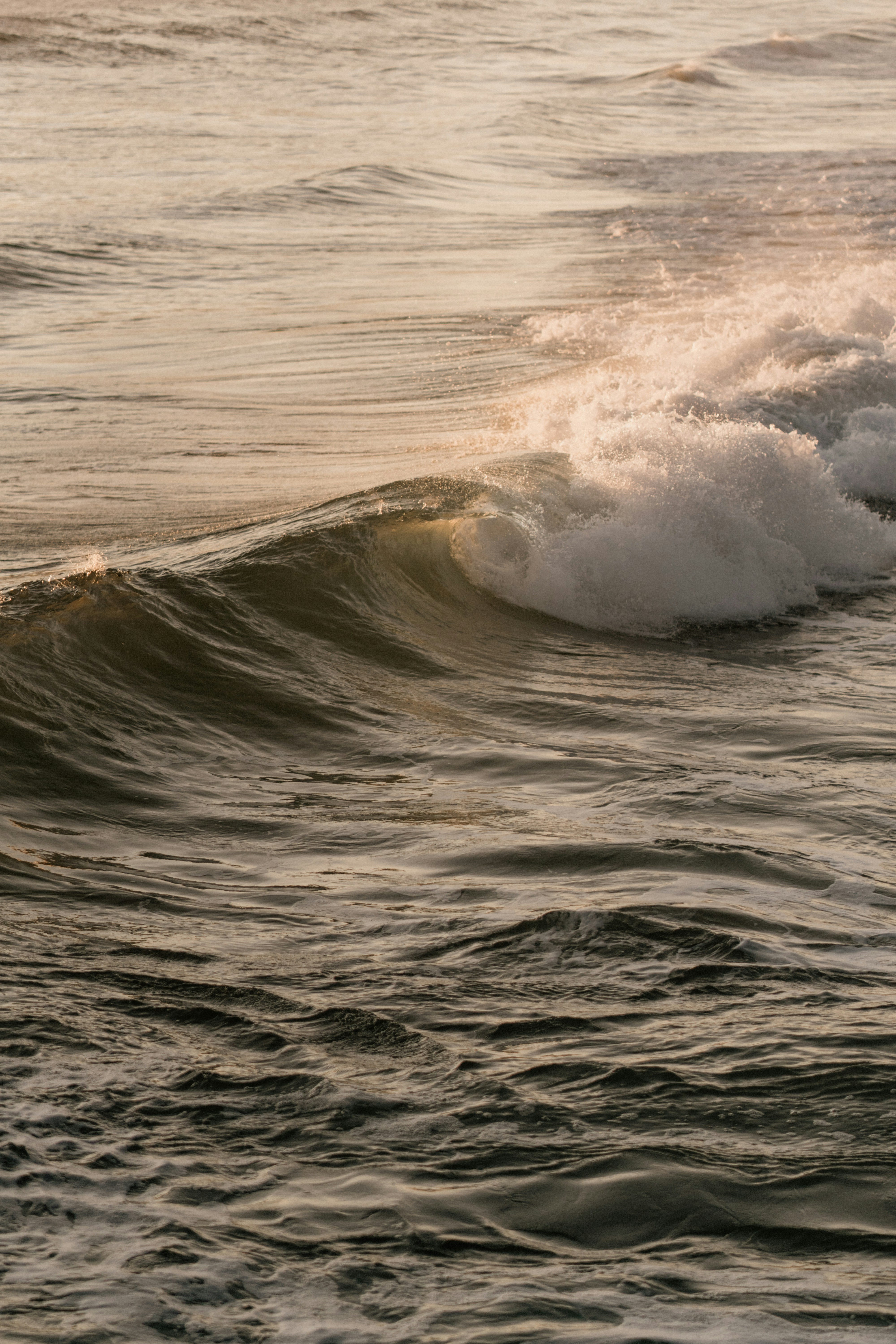 Golden Breaking Sea Wave