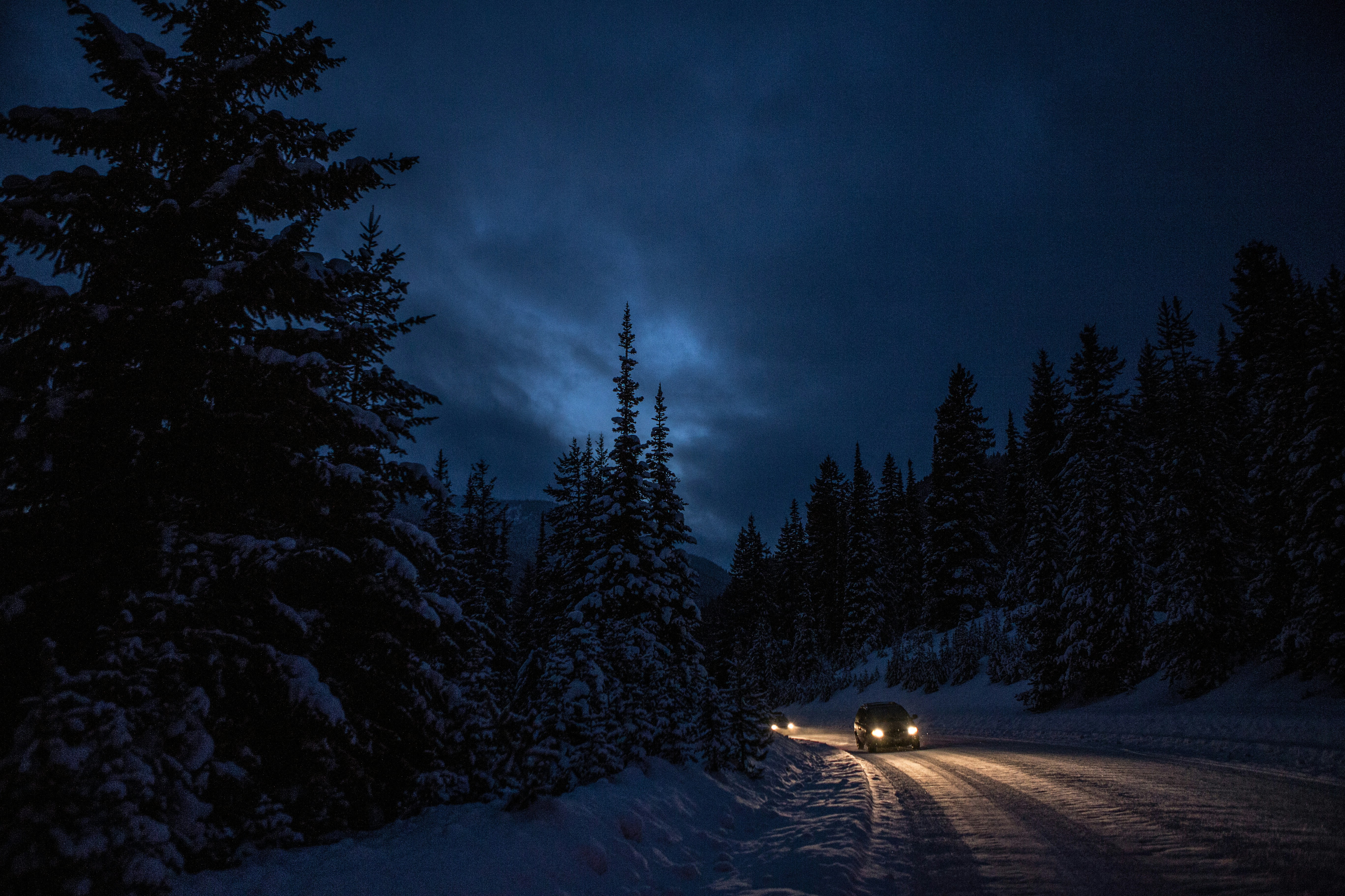 Night Drive on Snowy Forest Road