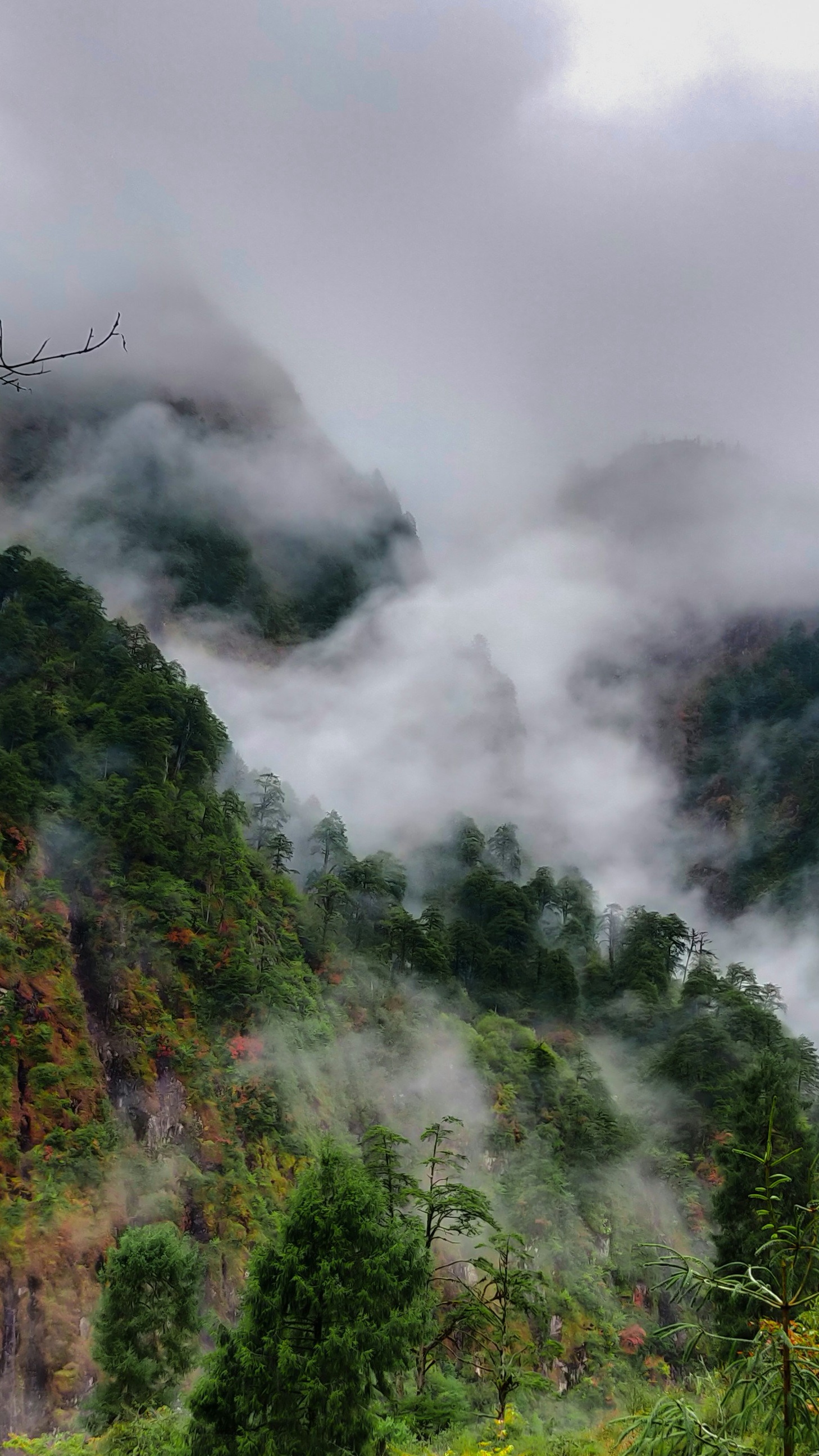 Landscapes