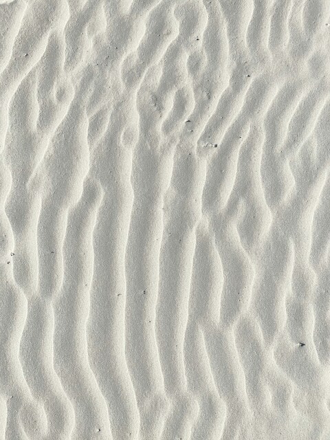 Wind Rippled White Sand
