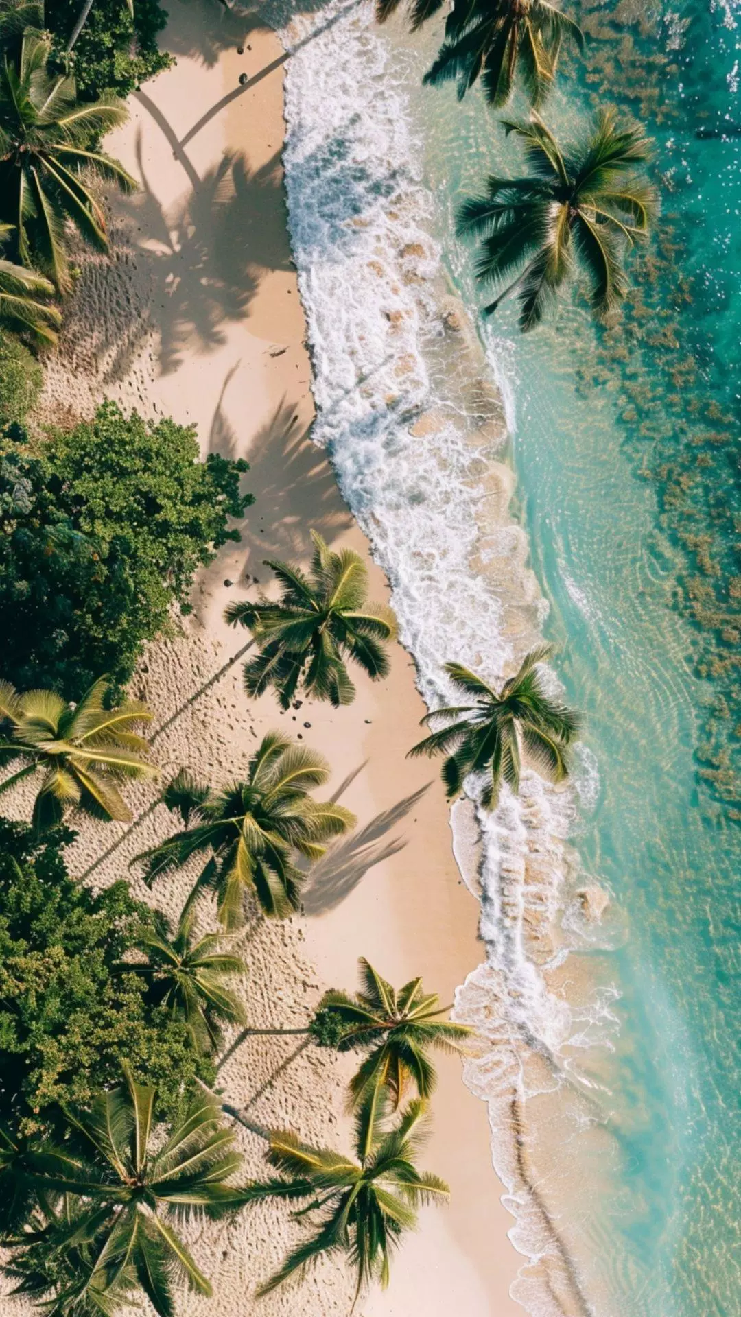 Wallpapers