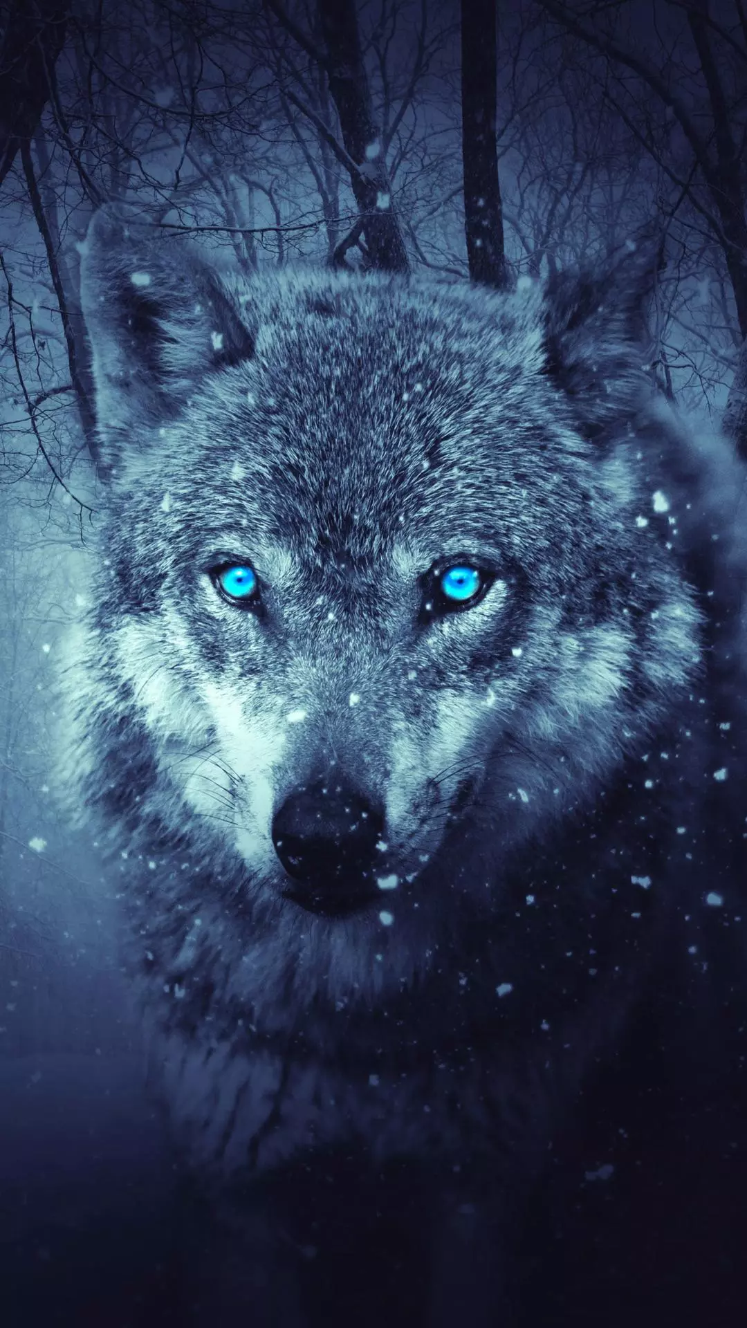 Wallpapers