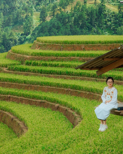 Woman Sitting at Terraced Rice Fields