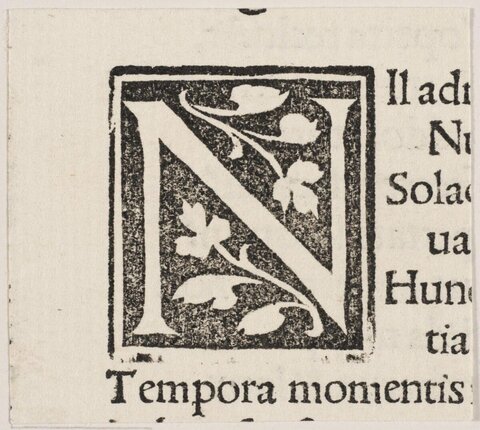 Ornate Woodcut Initial Letter N