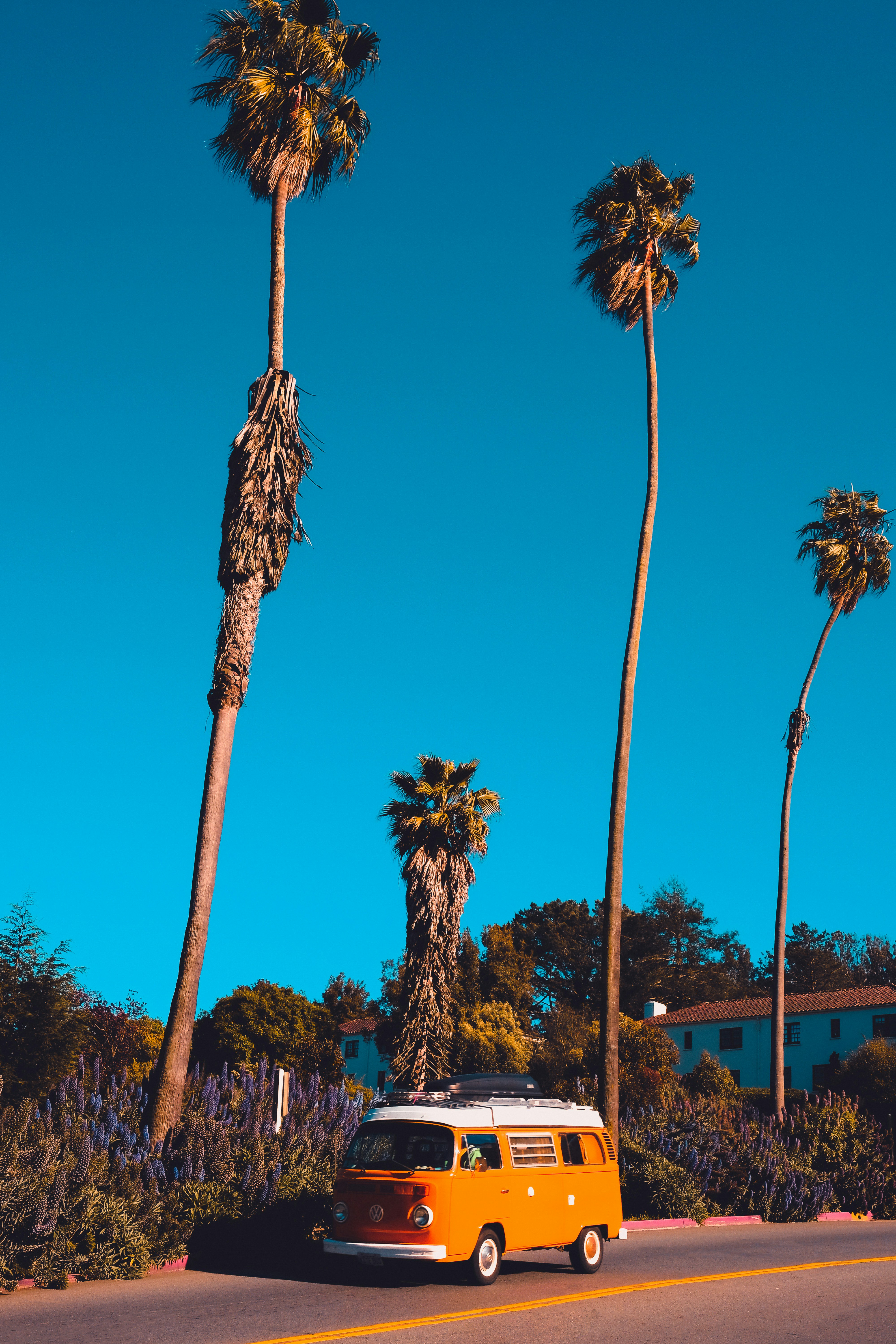 Orange Vintage Van by Palm Trees
