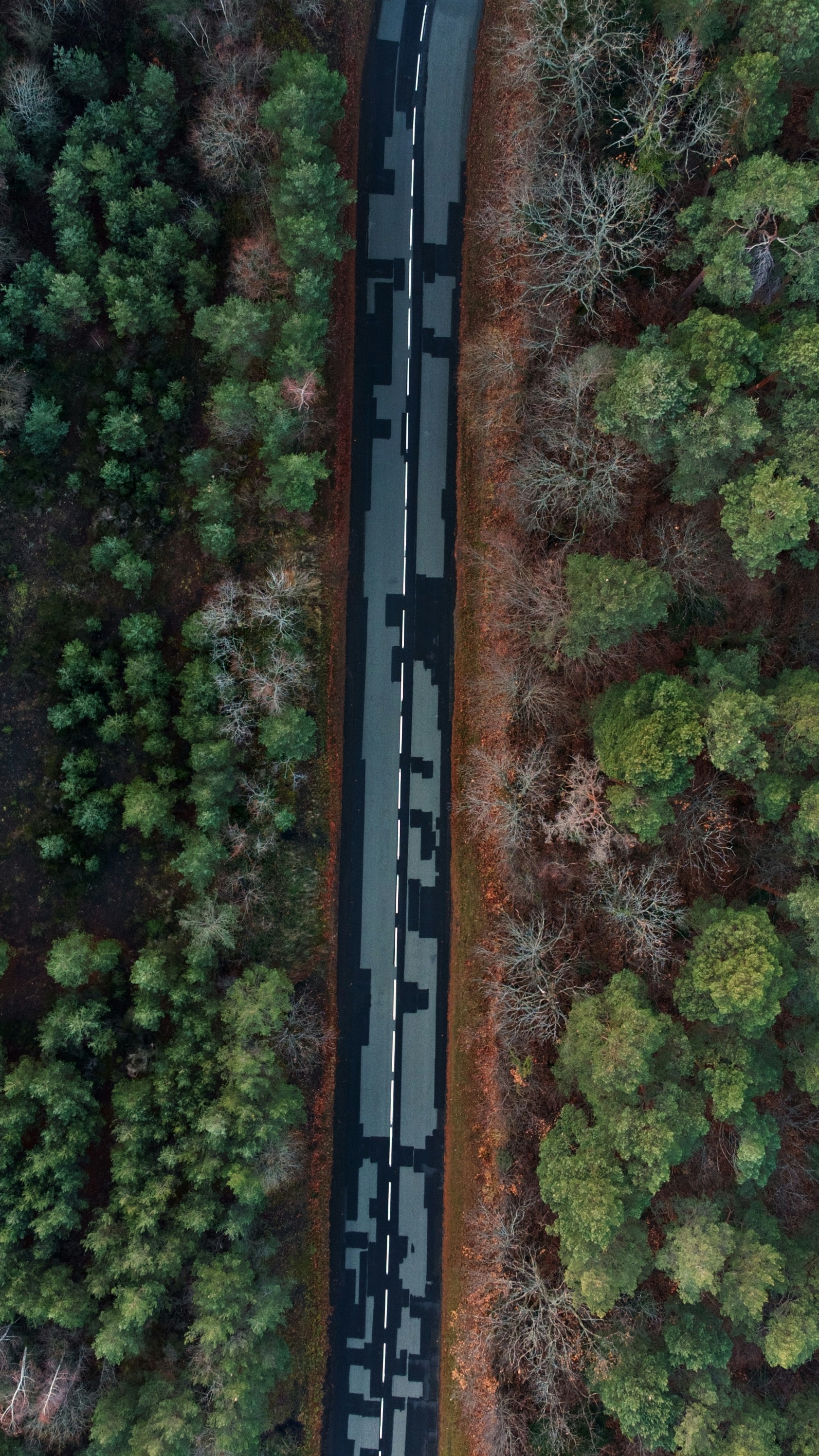 Wallpapers