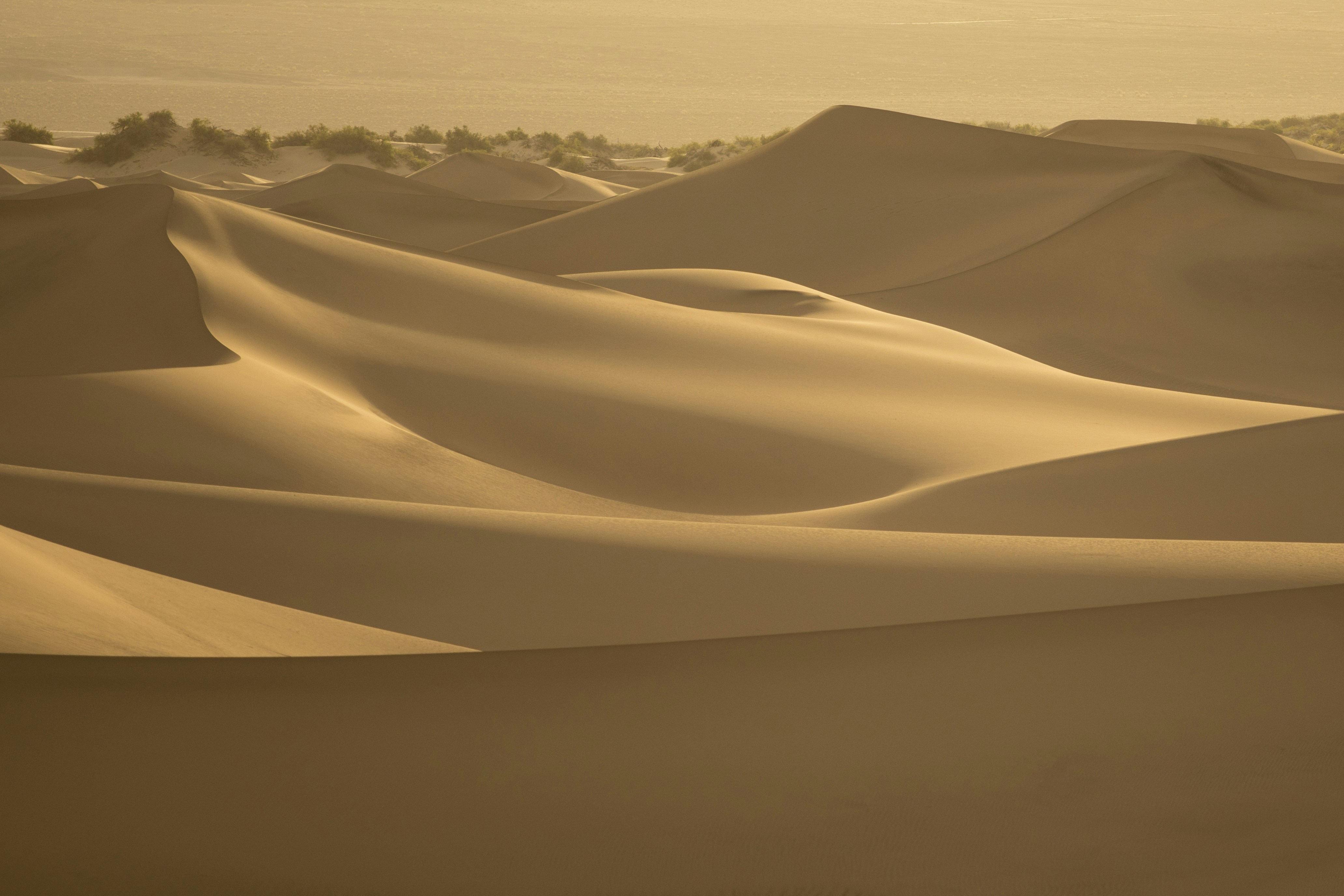 Golden Desert Sand Dunes