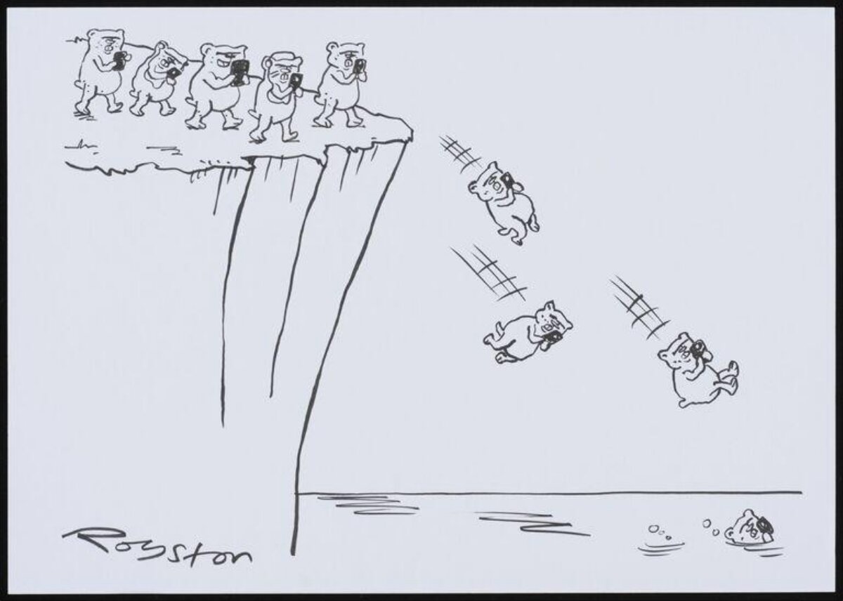 Phone-addicted Bears Fall Off Cliff
