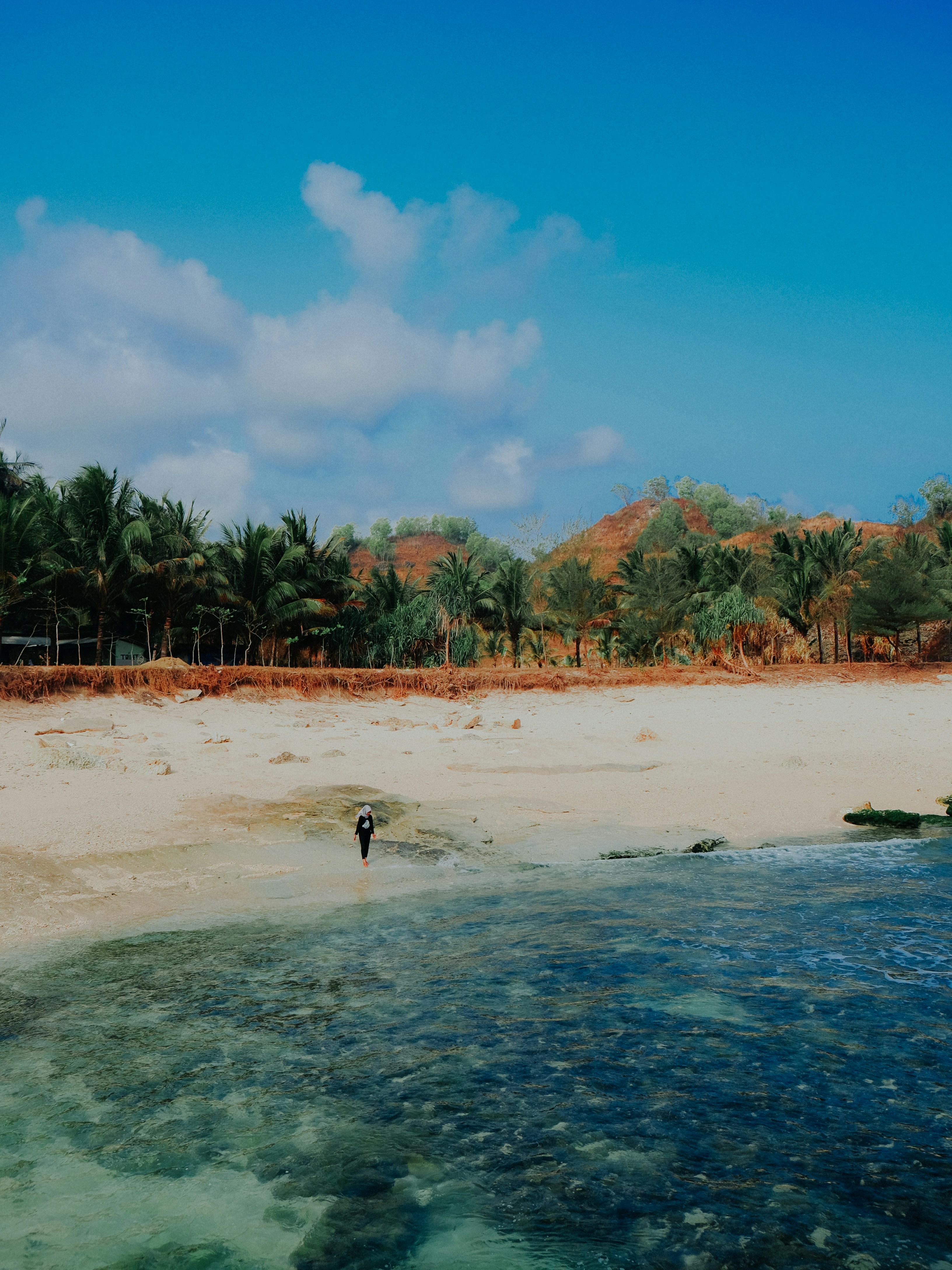 Tropical Secluded Beach