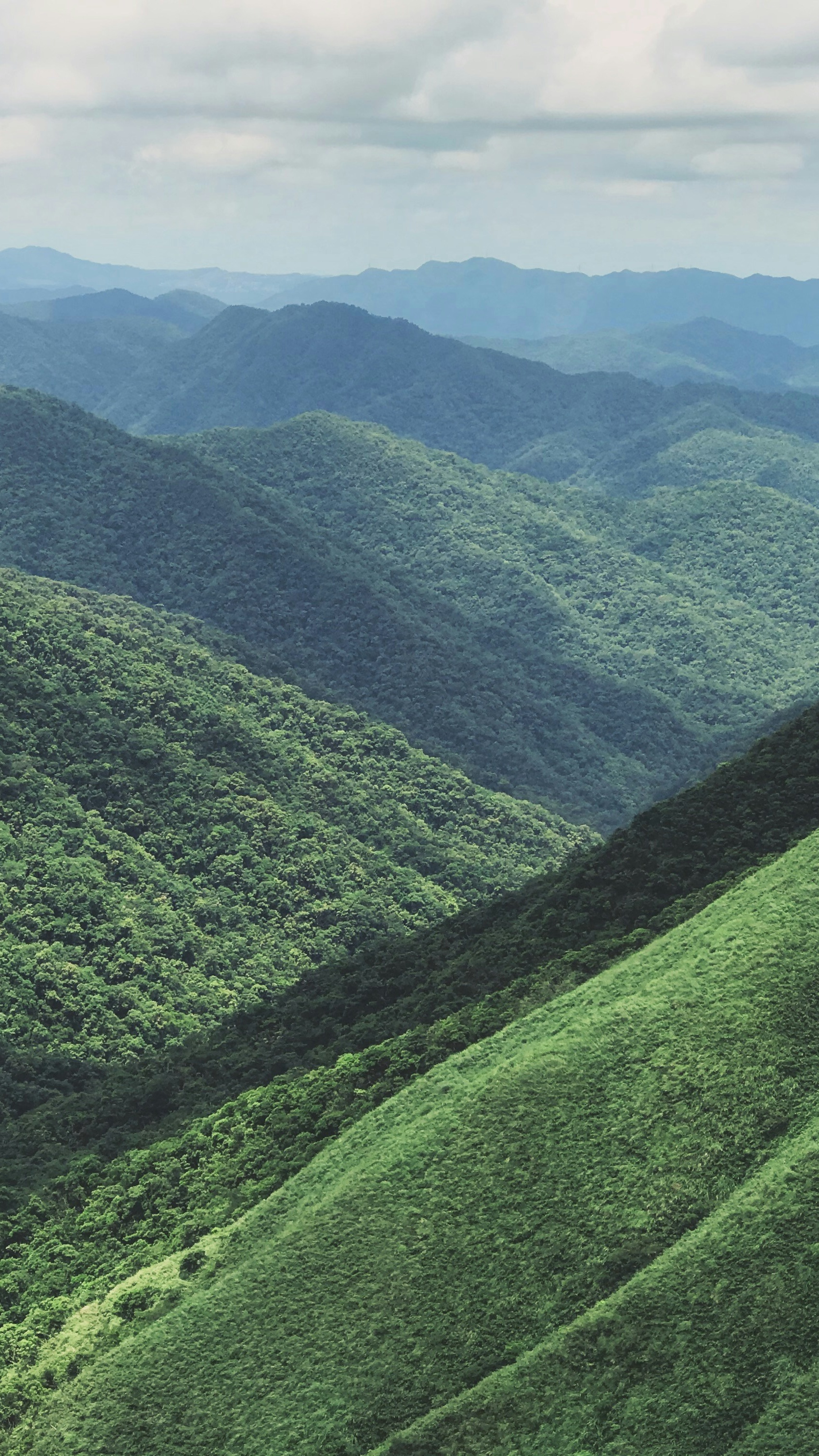 Landscapes
