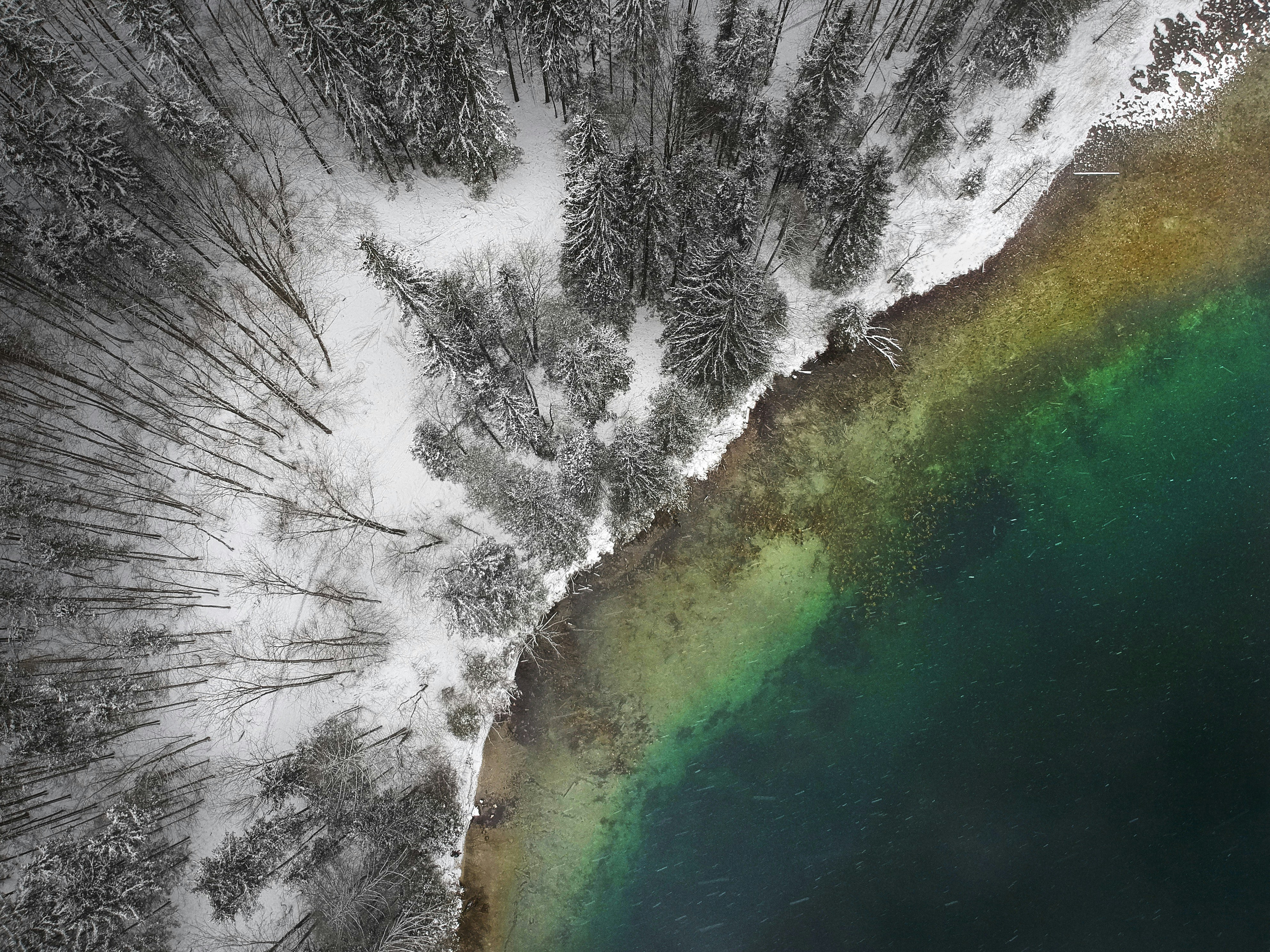 Aerial View of Snowy Lakeside Forest
