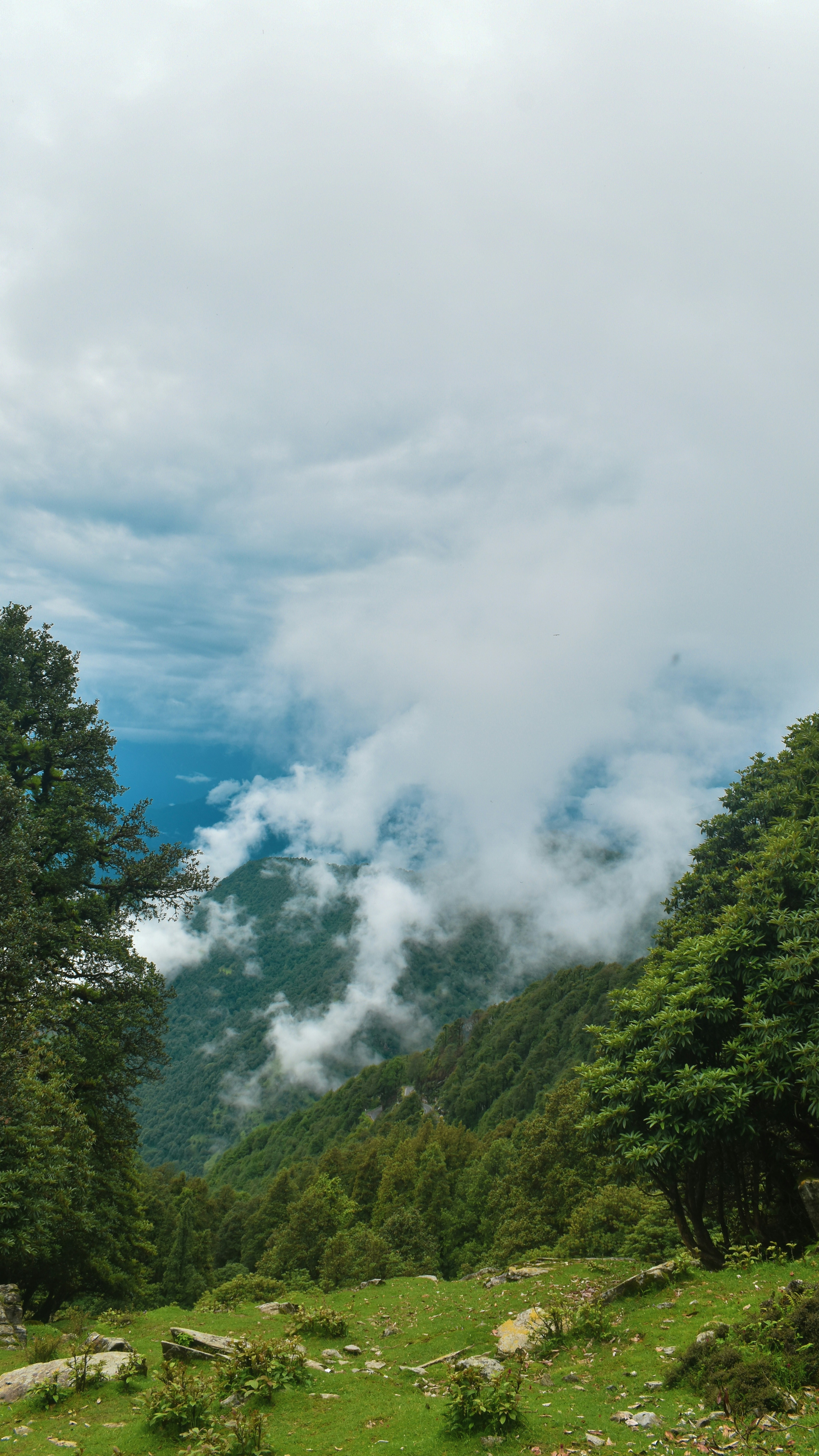 Landscapes