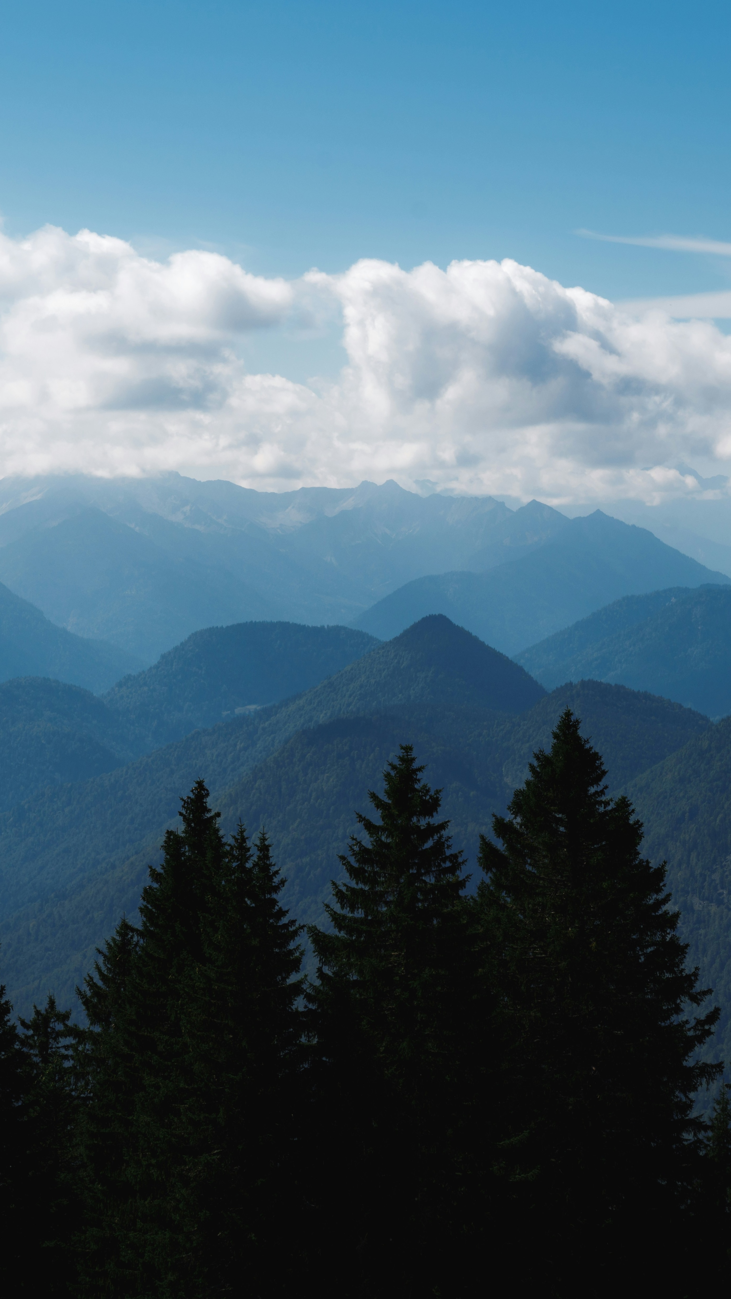 Landscapes