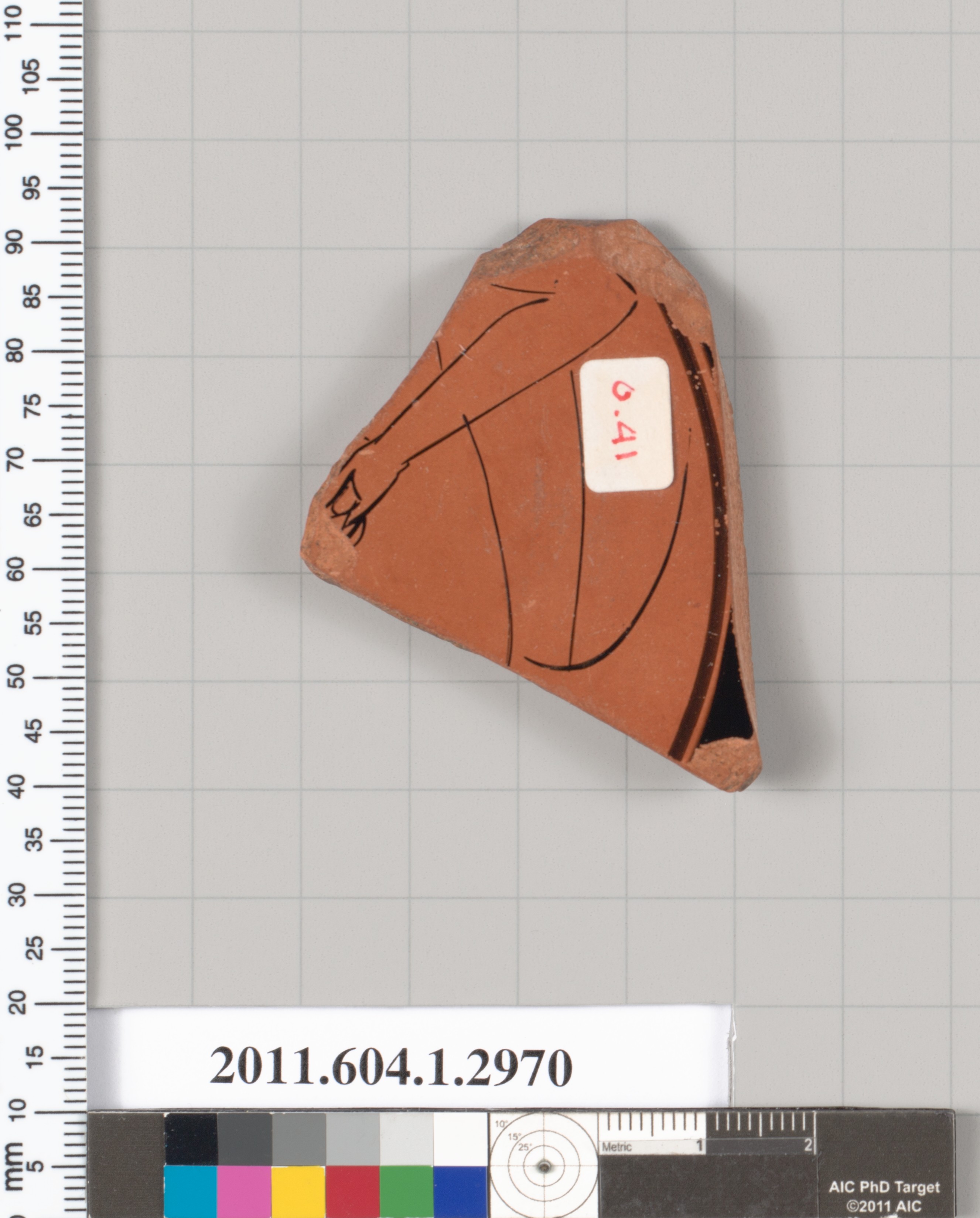 Terracotta Pottery Fragment