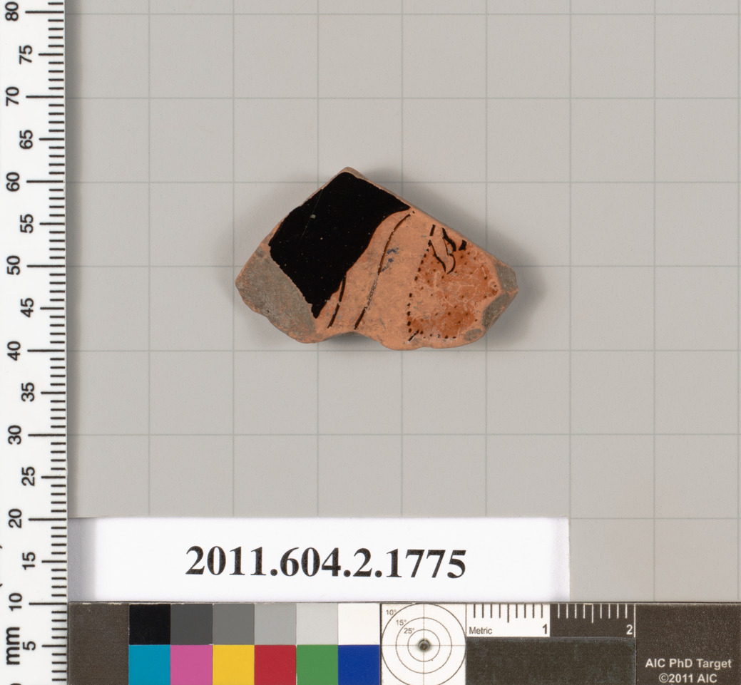 Ancient Pottery Fragment Specimen