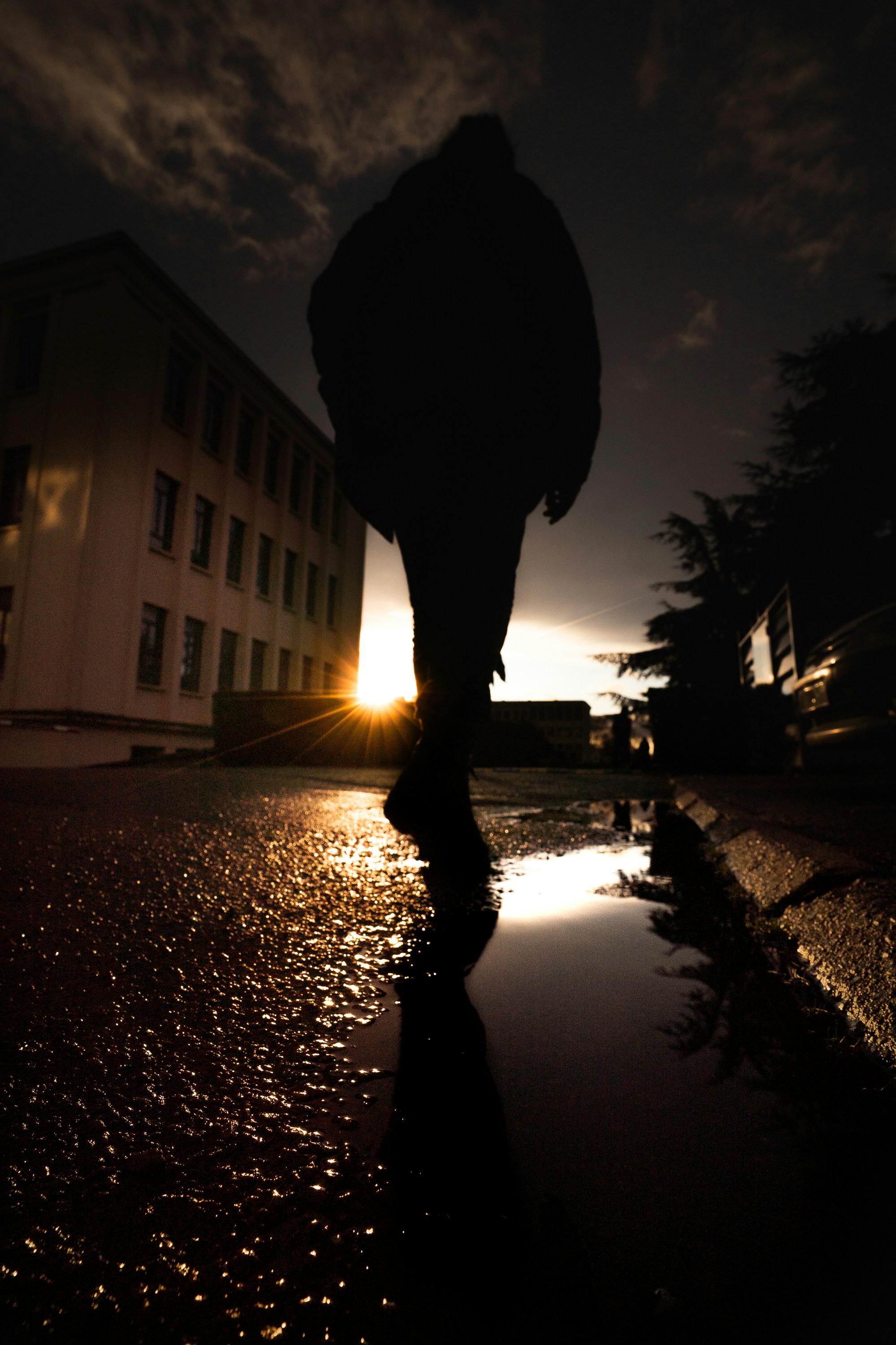 Silhouette Walker at Sunset After Rain