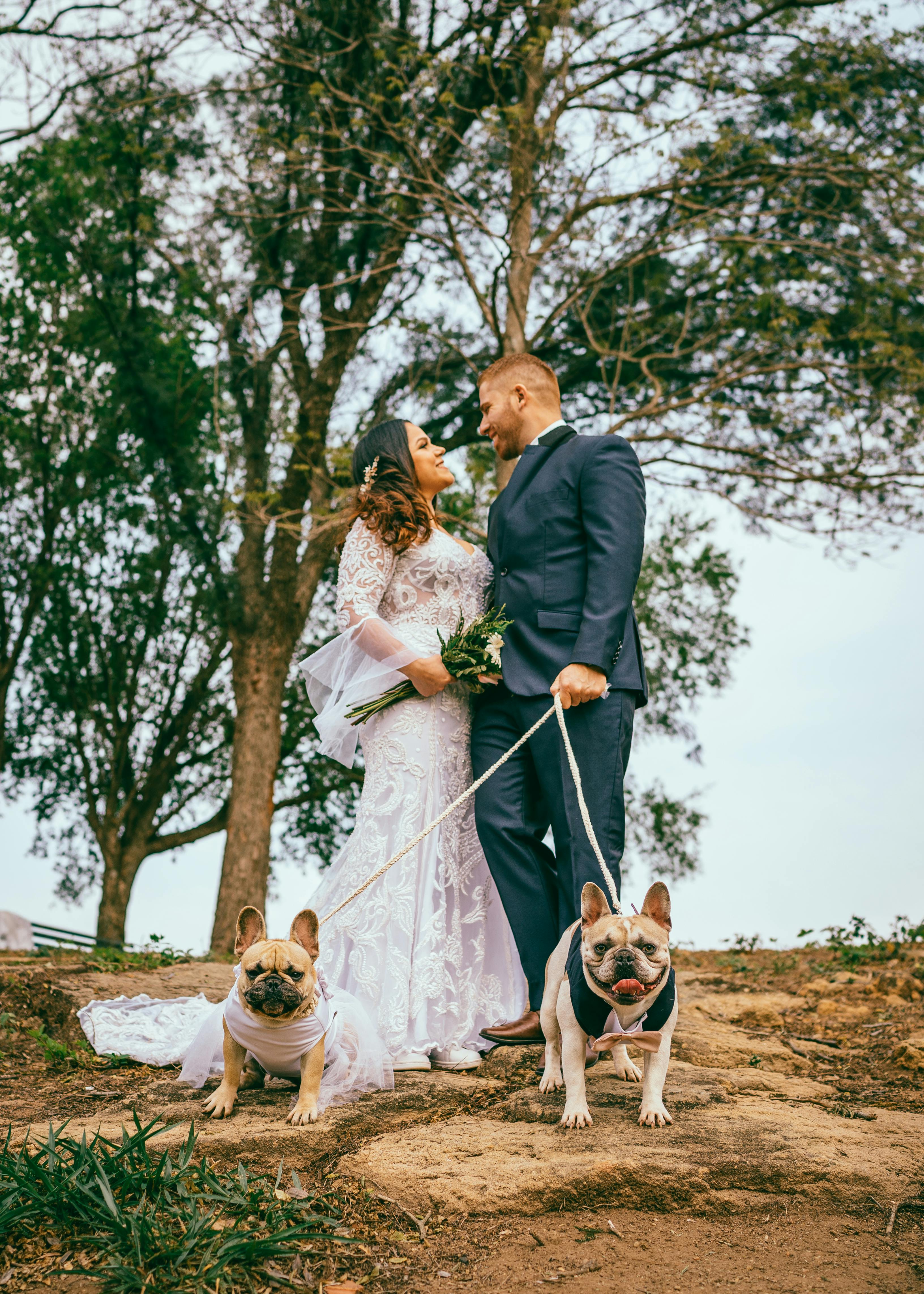 Wedding Couple With Two Dressed Bulldogs