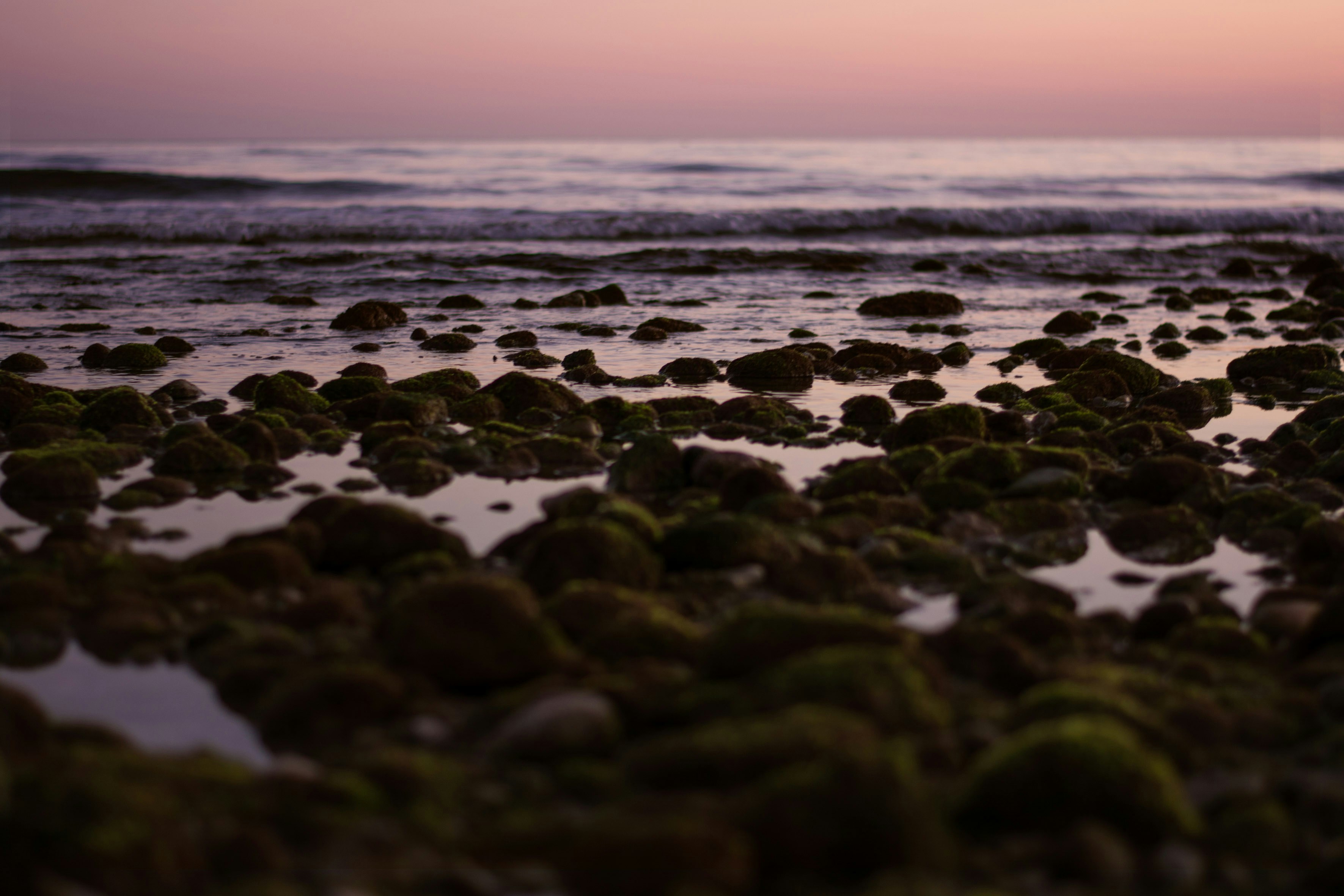 Dusk Rocky Shore Seascape