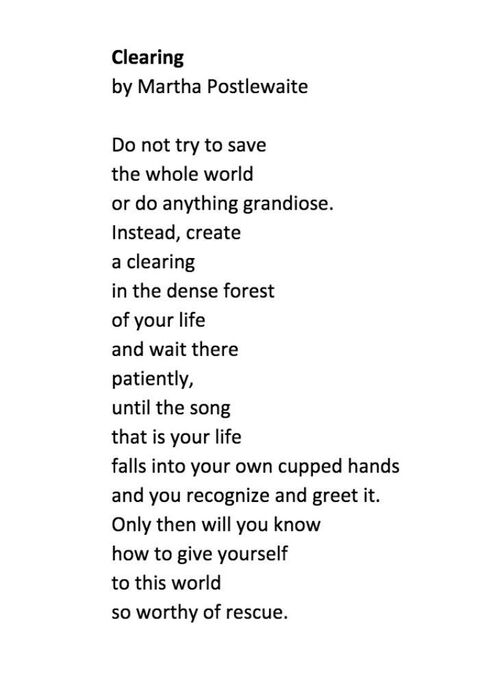 Clearing Poem by Martha Postlewaite