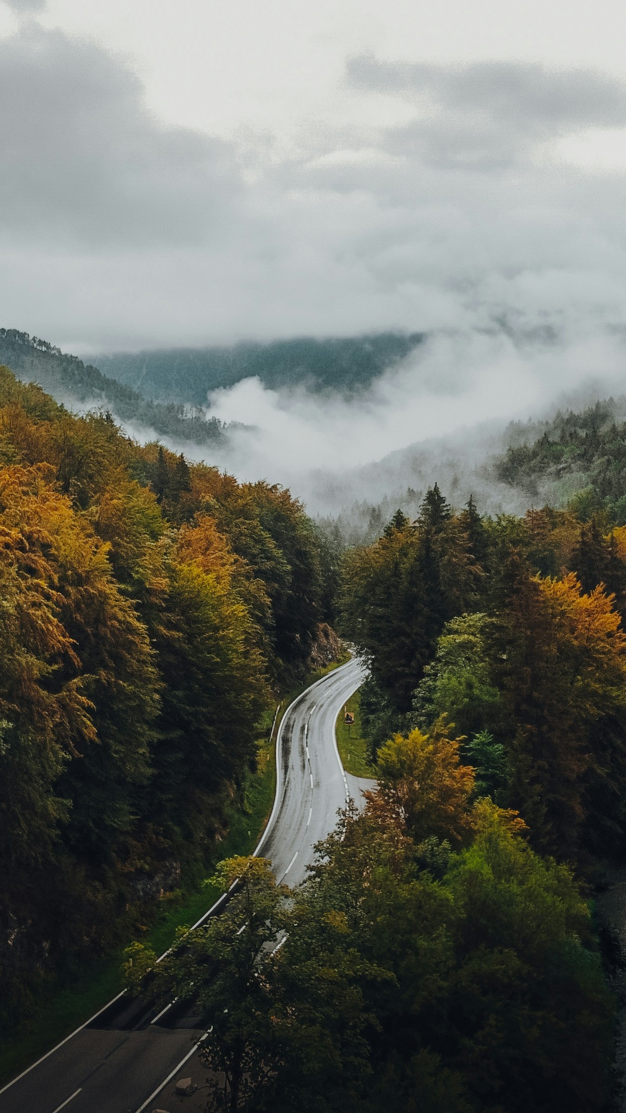 Wallpapers