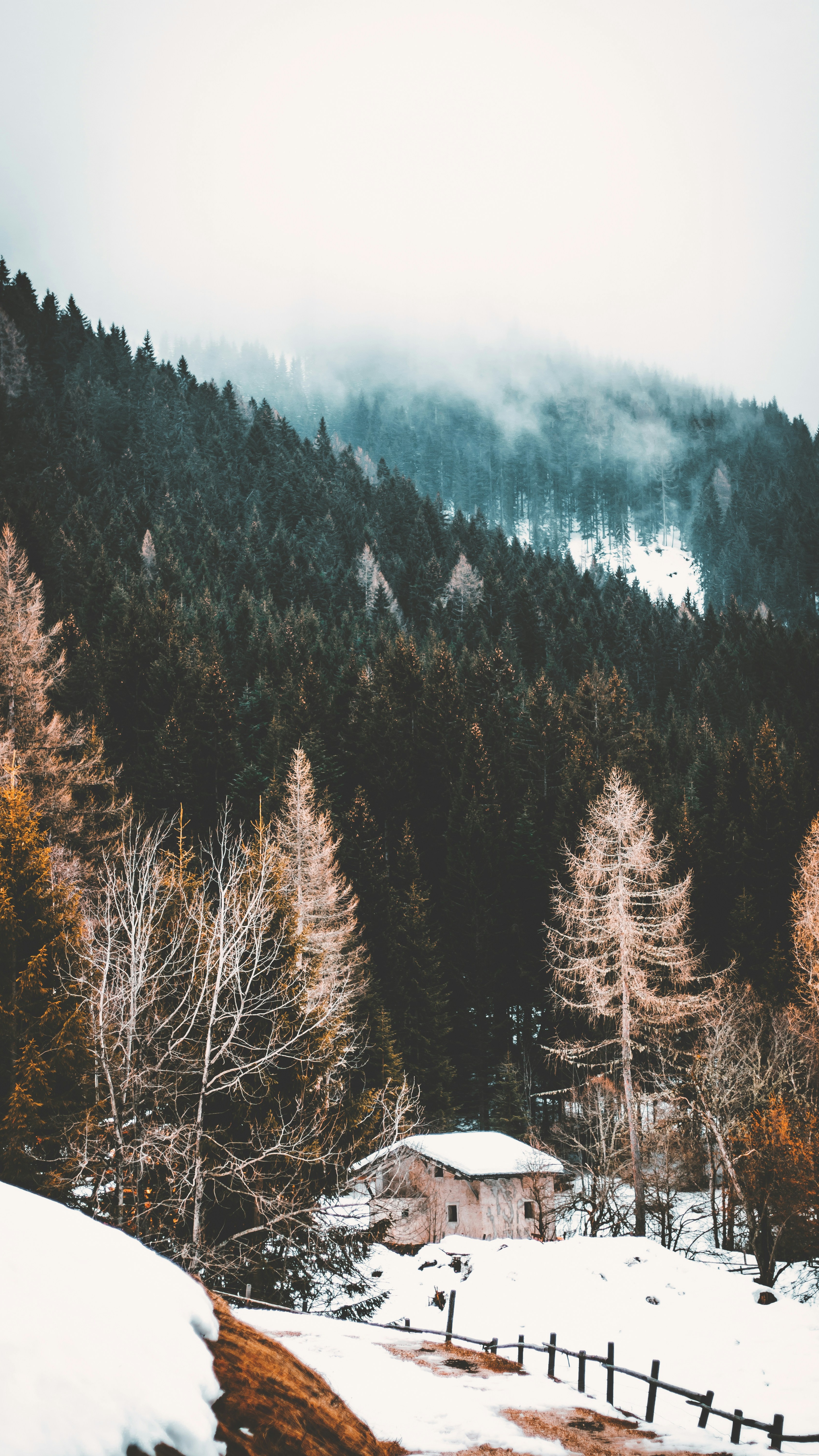 Wallpapers