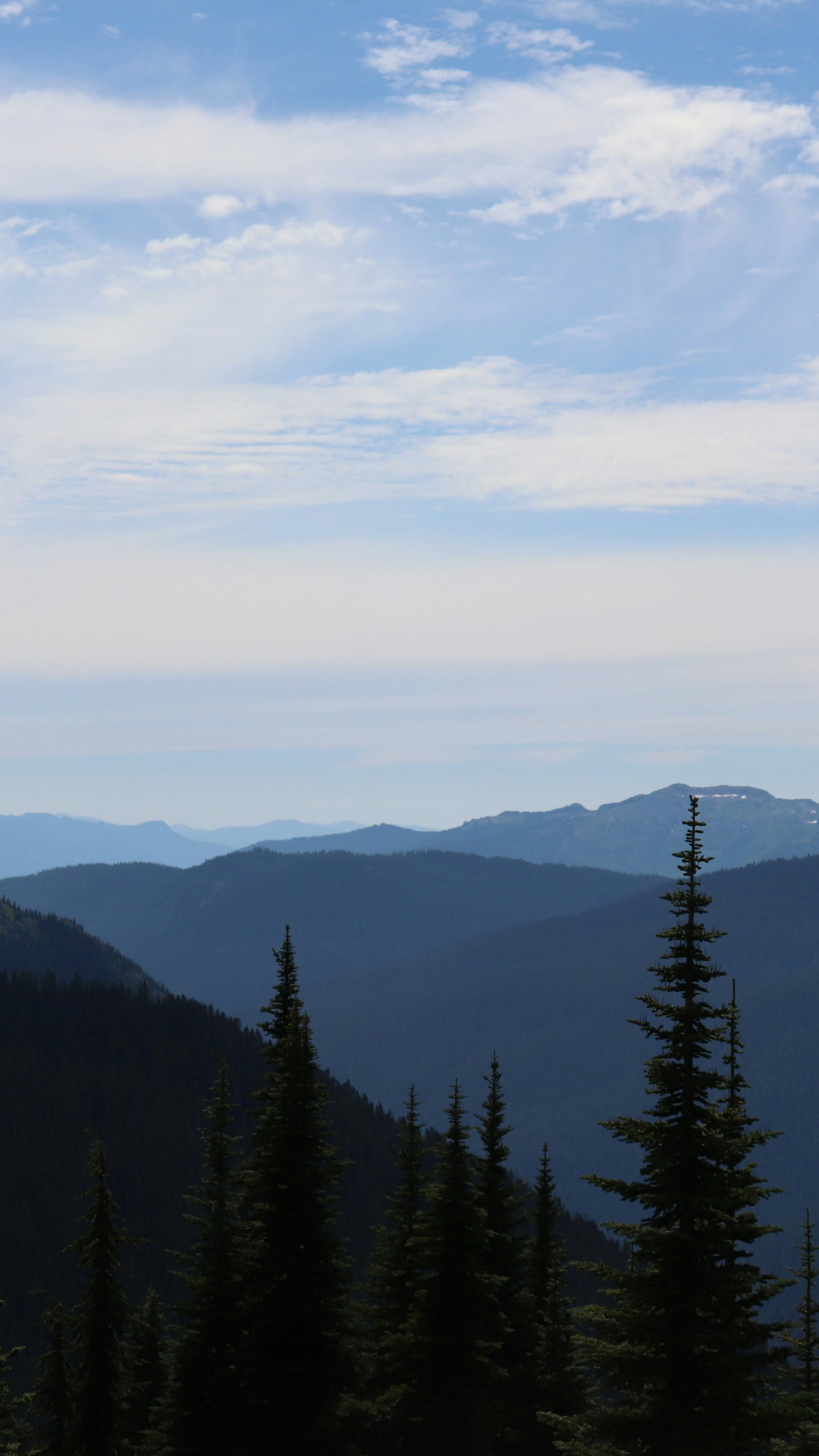 Landscapes